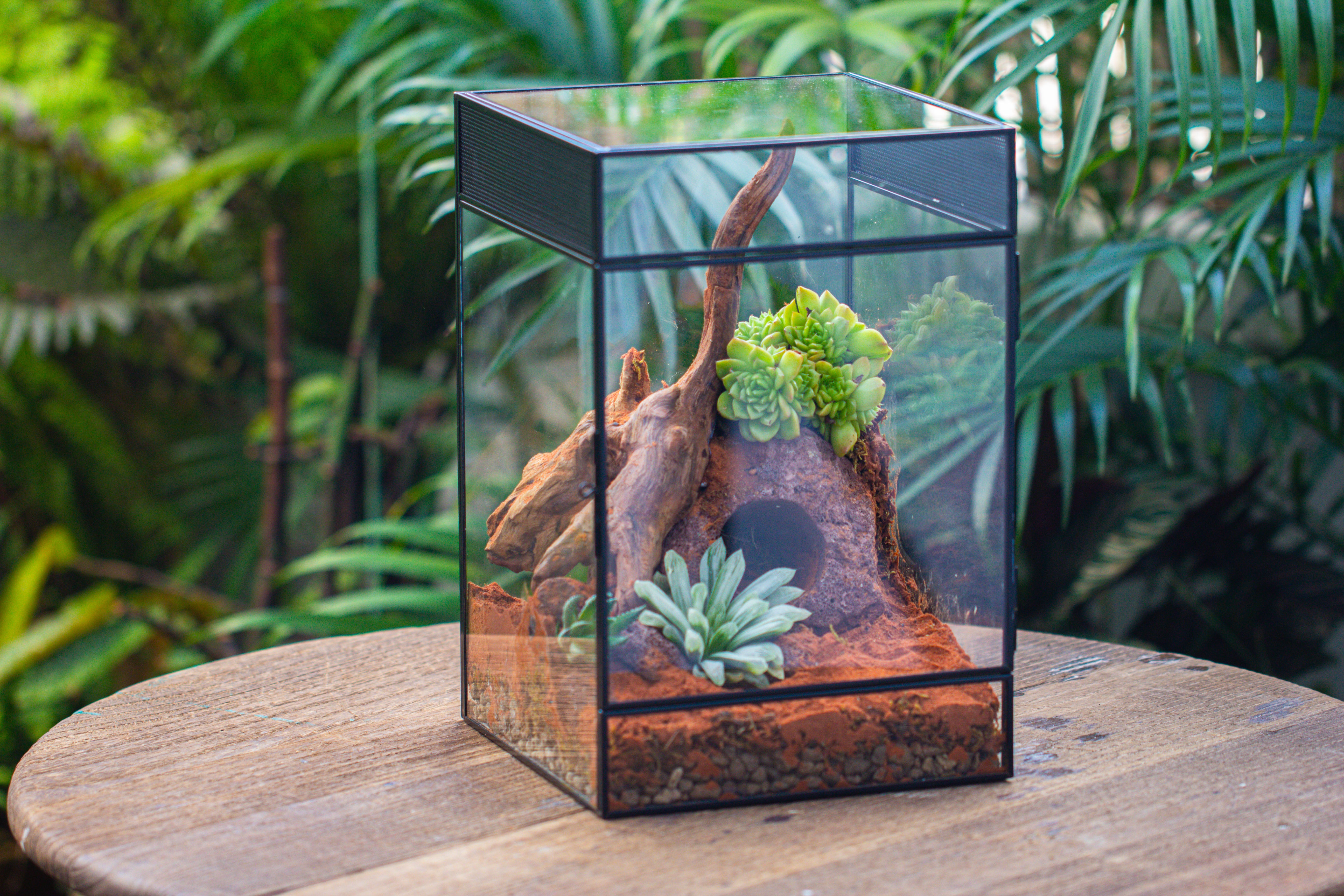 8x8x12 inches Large Handmade Glass Geometric Terrarium with Side Vent, for large insects - NCYPgarden