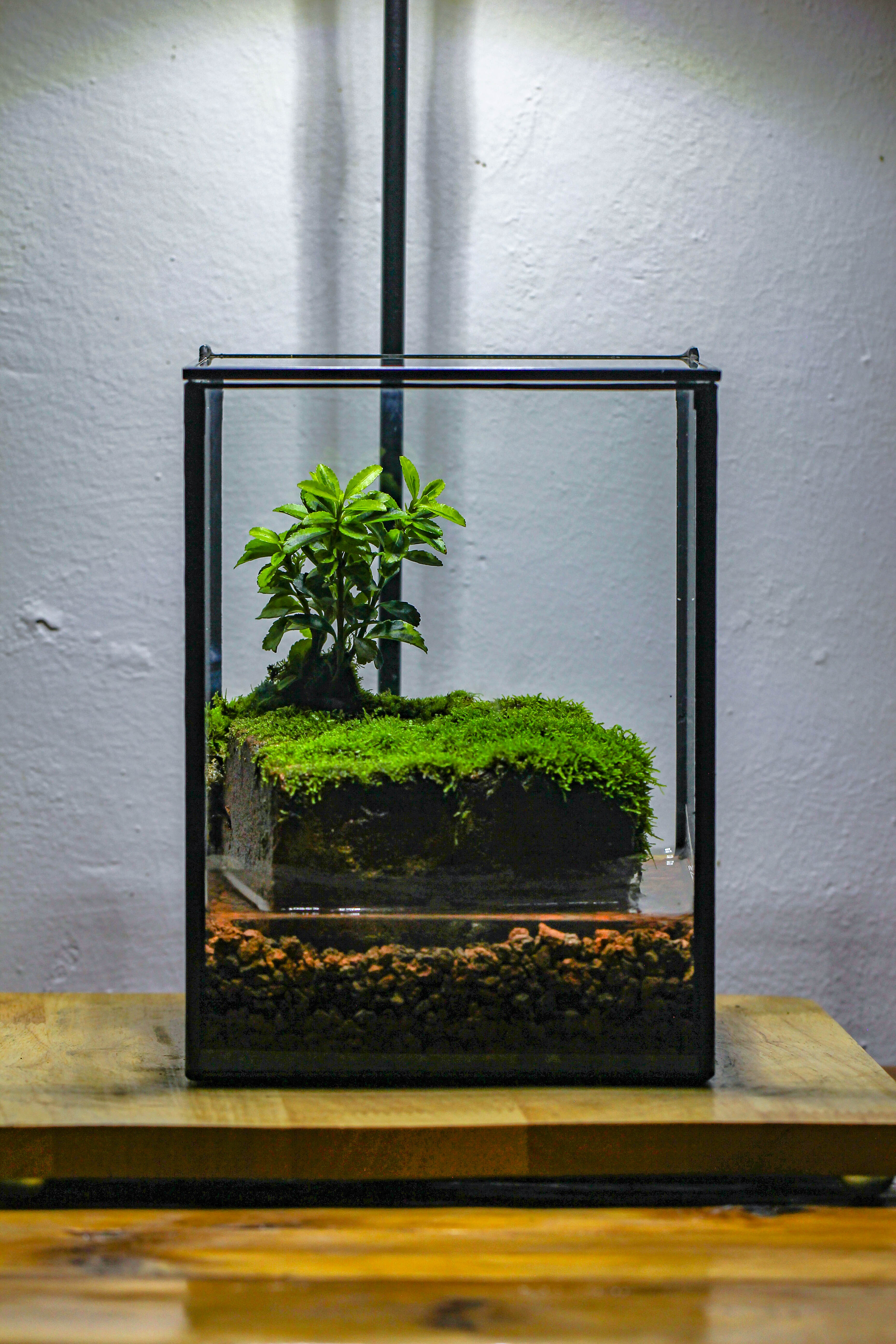 NCYP Watertight Close Geometric Glass Tin Terrarium, for small waterpond, moss landscape, Live Miniature, water pond, miniature - NCYPgarden