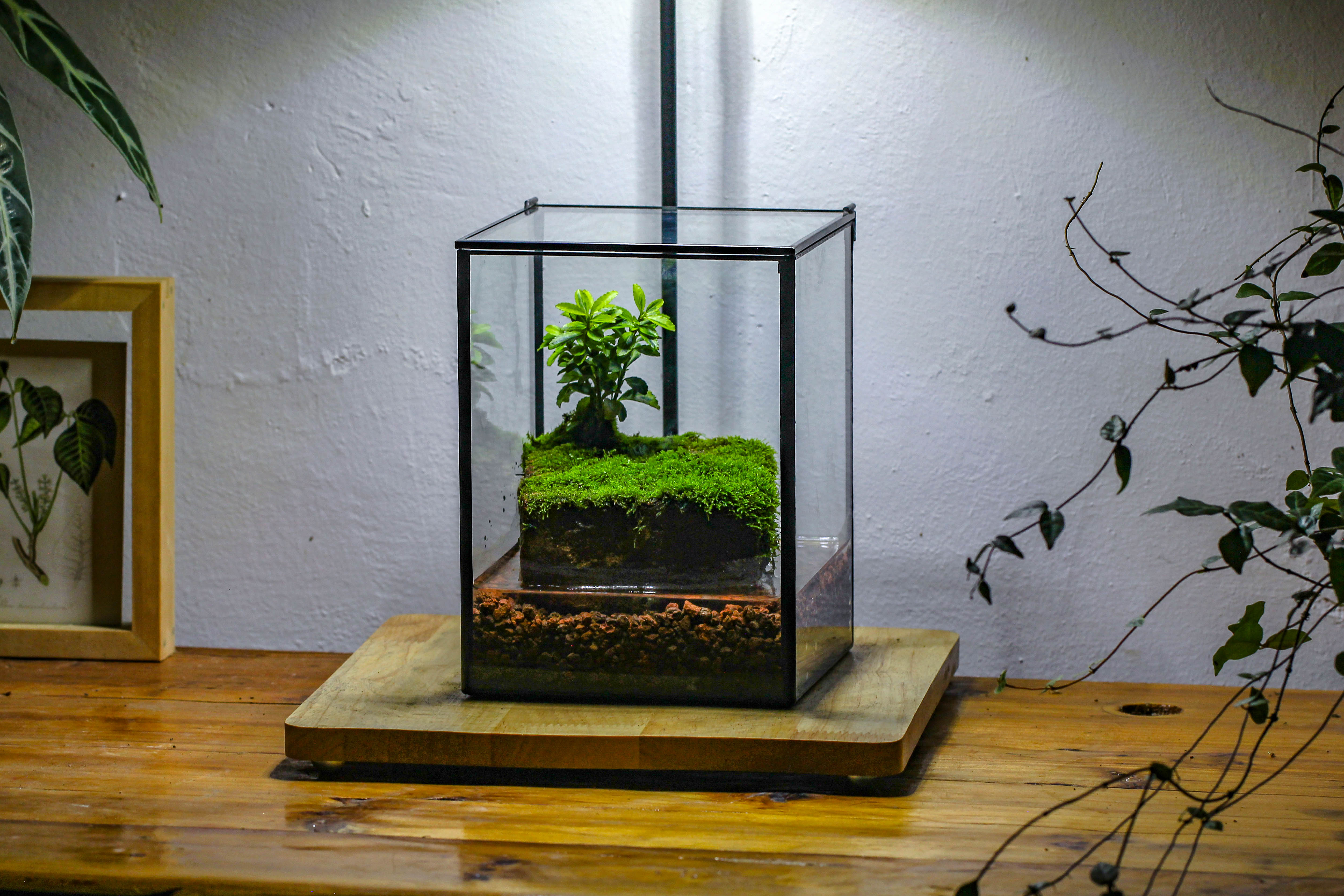 NCYP Watertight Close Geometric Glass Tin Terrarium, for small waterpond, moss landscape, Live Miniature, water pond, miniature - NCYPgarden