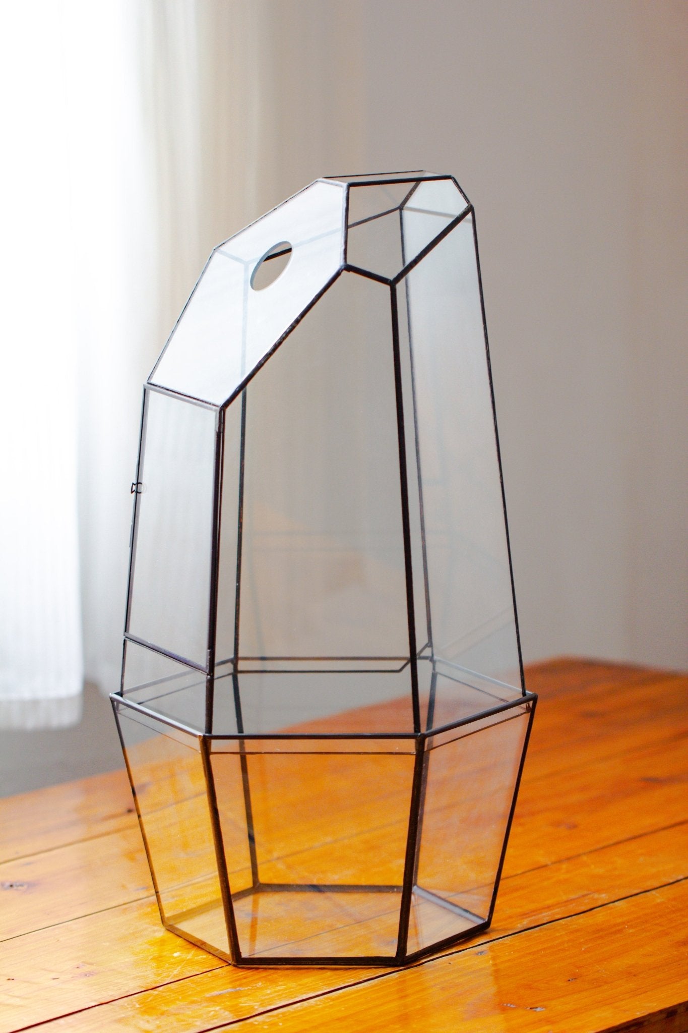 Large 2-Part 18.9" tall Close Glass Terrarium for orchid, fern, moss, Watertight, with top hole - NCYPgarden