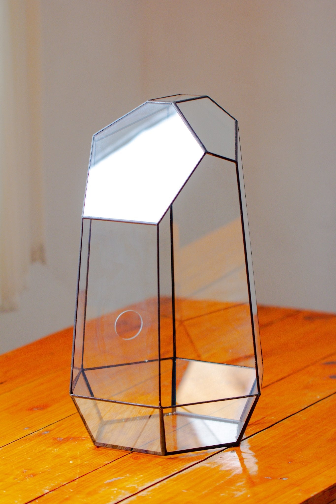Handmade Extra Large Tall Irregular Glass Geometric Terrarium，Open, Waterproof, with Wire hole - NCYPgarden