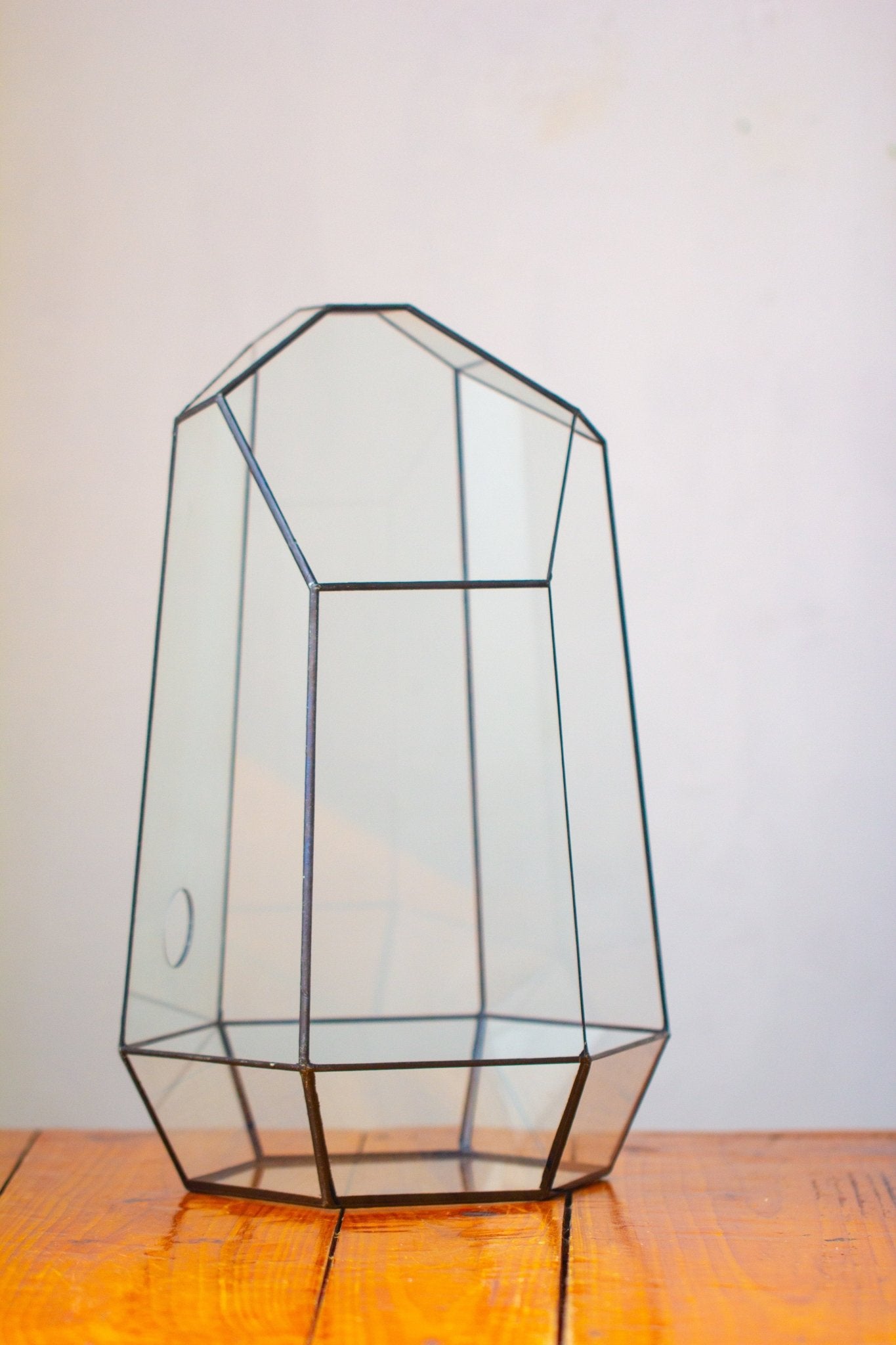 Handmade Extra Large Tall Irregular Glass Geometric Terrarium，Open, Waterproof, with Wire hole - NCYPgarden