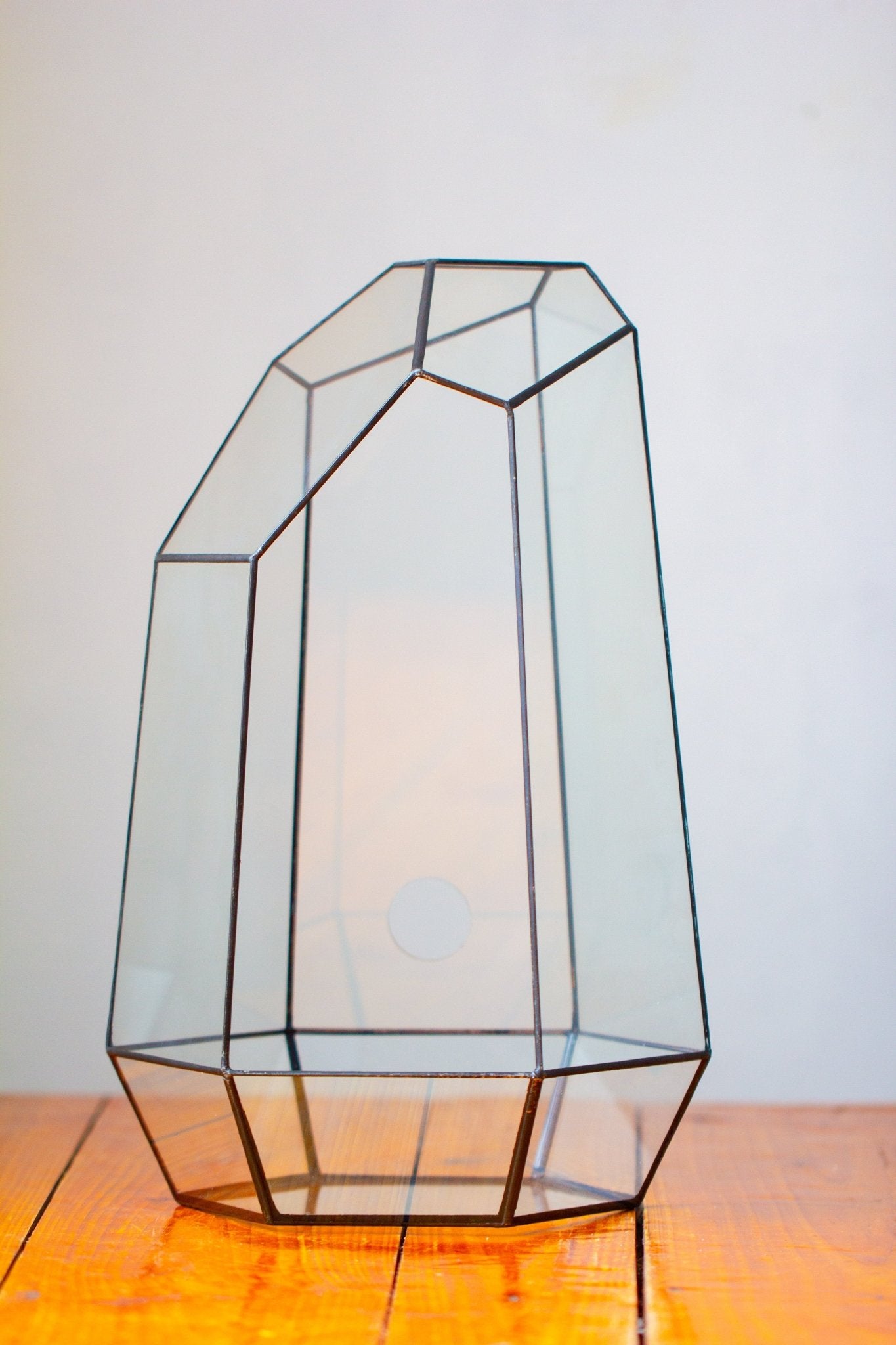 Handmade Extra Large Tall Irregular Glass Geometric Terrarium，Open, Waterproof, with Wire hole - NCYPgarden