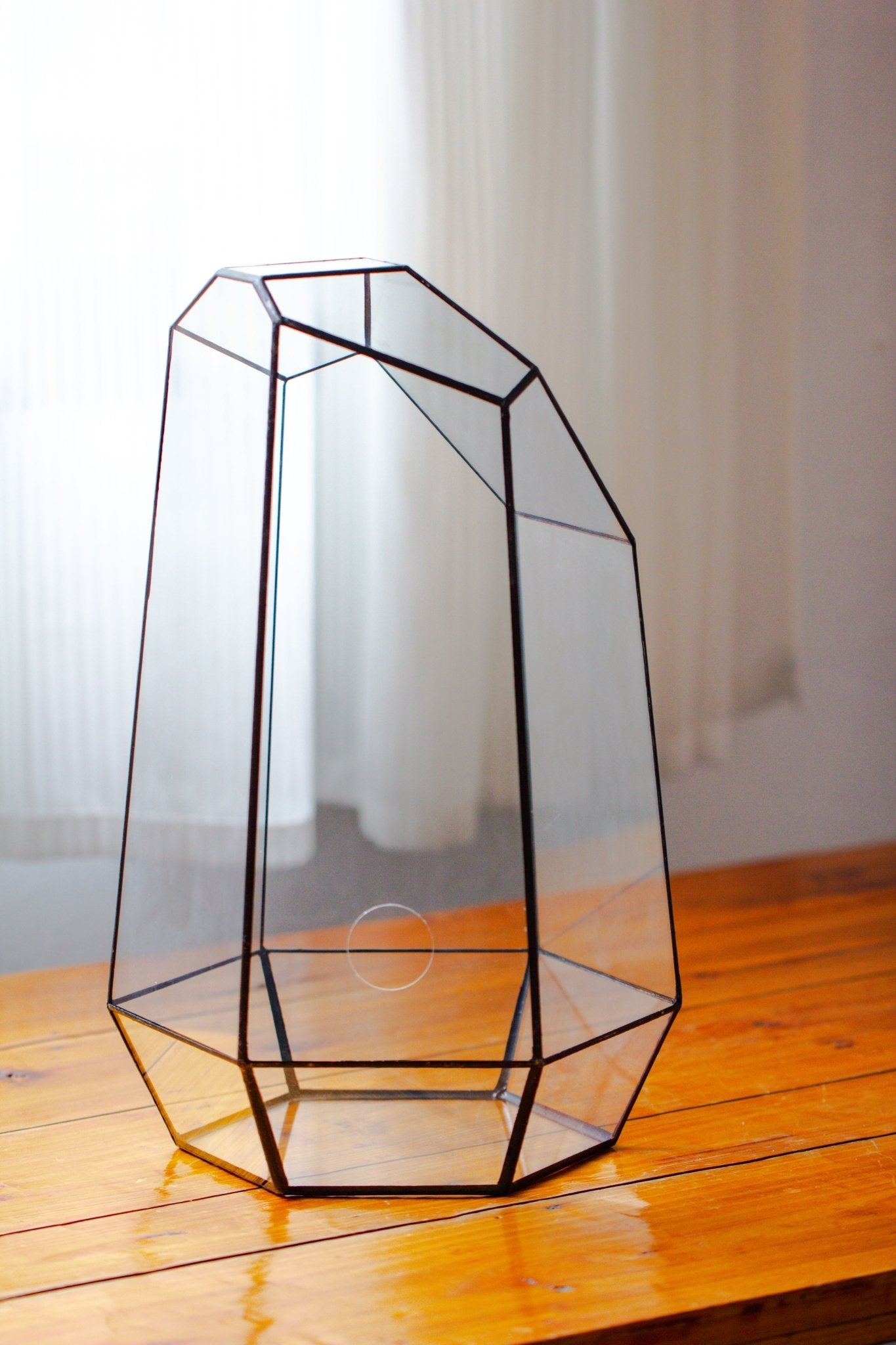 Handmade Extra Large Tall Irregular Glass Geometric Terrarium，Open, Waterproof, with Wire hole - NCYPgarden