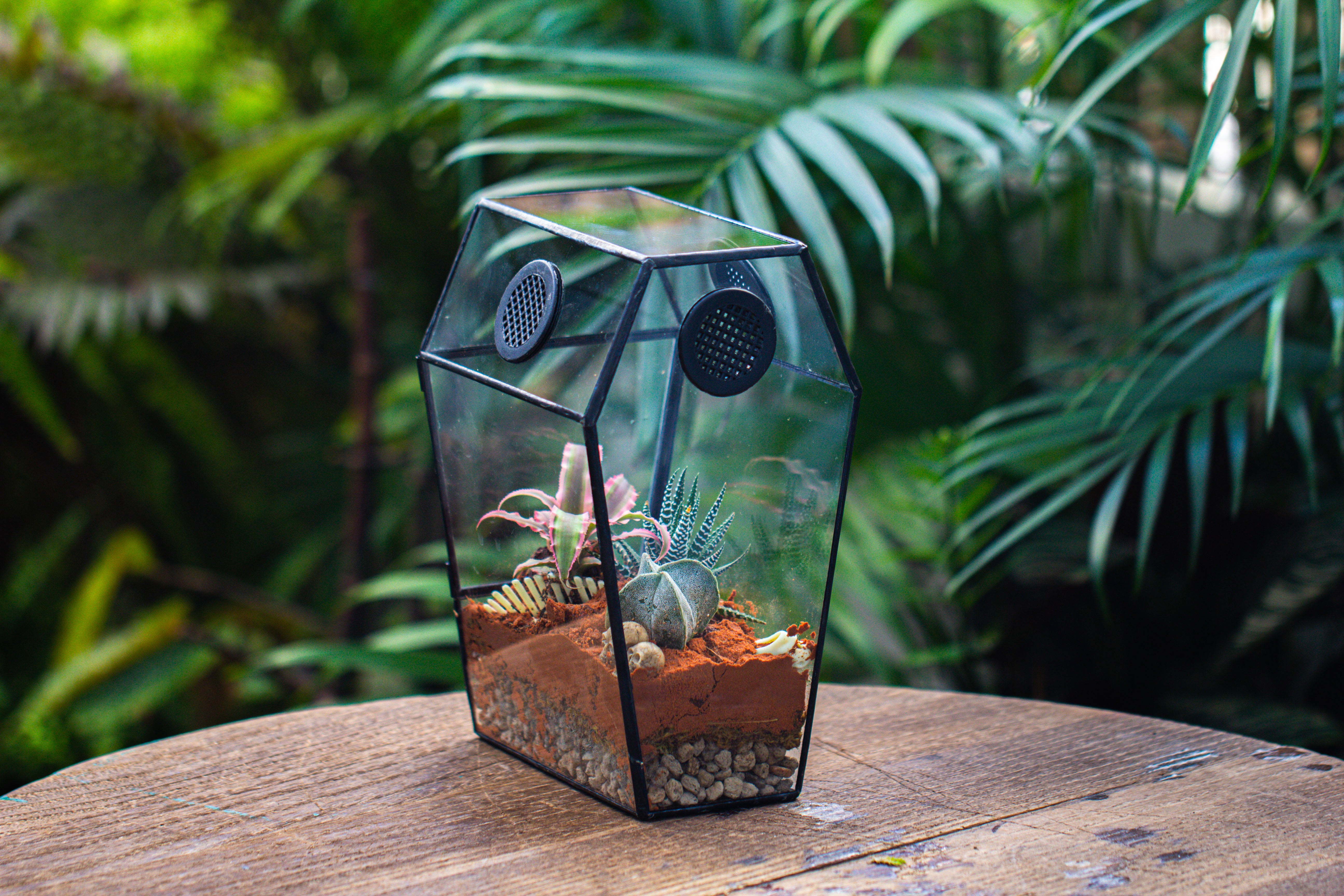 Coffin-Shaped Tin Glass Terrarium Enclosure, Gothic Style, for Jumping Spider, Insects, Snails - NCYPgarden