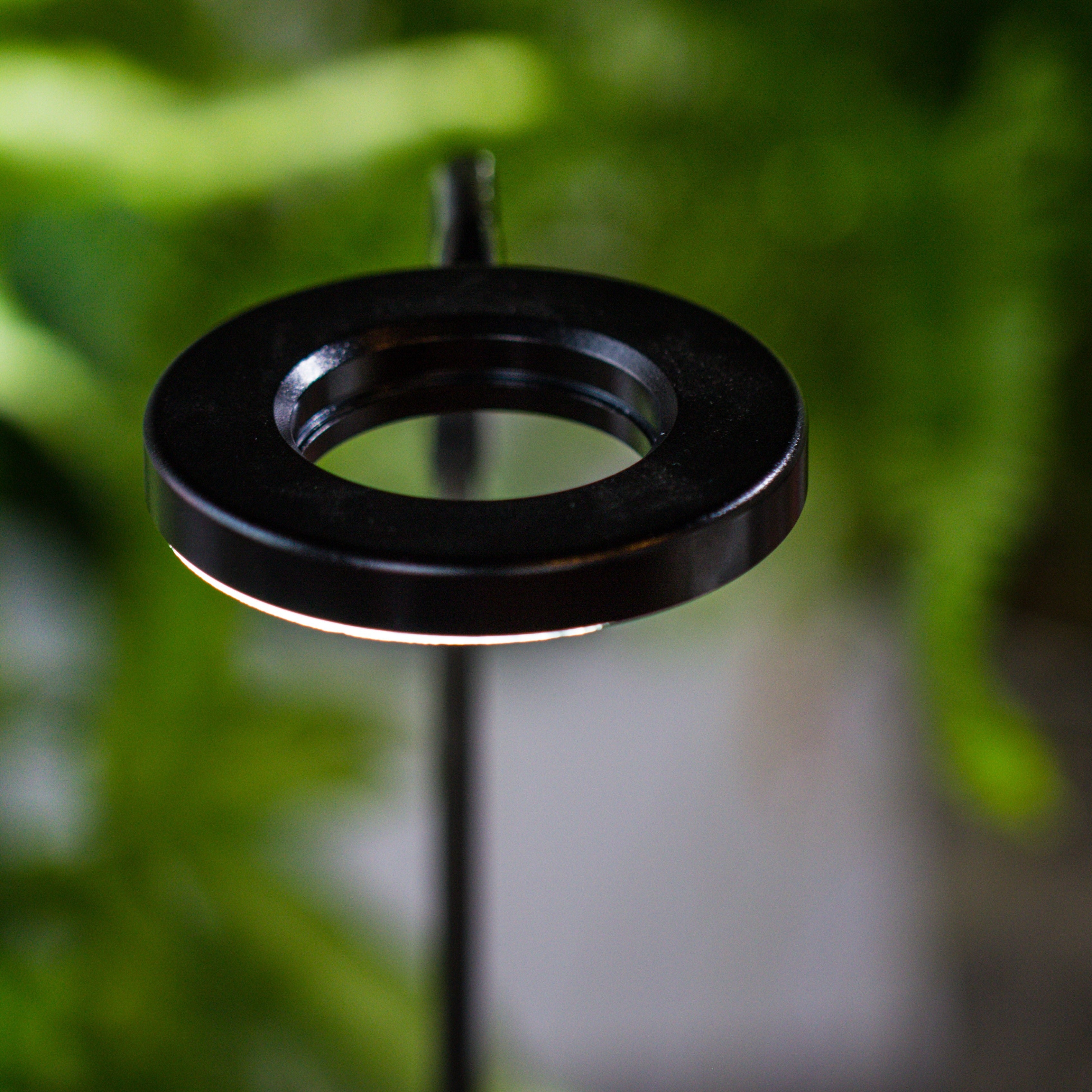 NCYP Customizable Tabletop Natural Wood Round Board LED Grow Display Light Indoor 10W for Terrarium Succulent Fern Bonsai Moss  -30cm - NCYPgarden