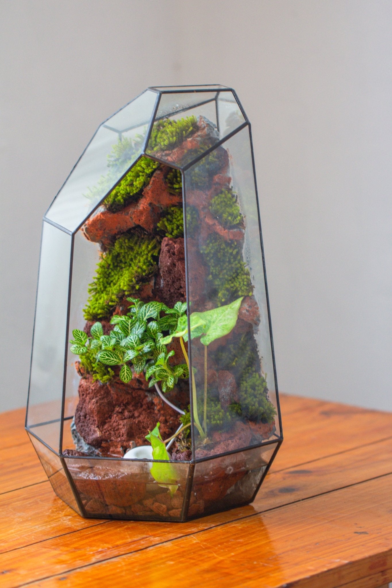 Handmade Extra Large Tall Irregular Glass Geometric Terrarium，Open, Waterproof, with Wire hole - NCYPgarden