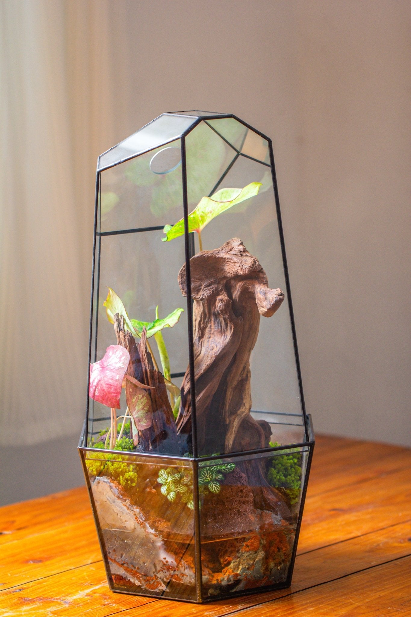 Large 2-Part 18.9" tall Close Glass Terrarium for orchid, fern, moss, Watertight, with top hole - NCYPgarden