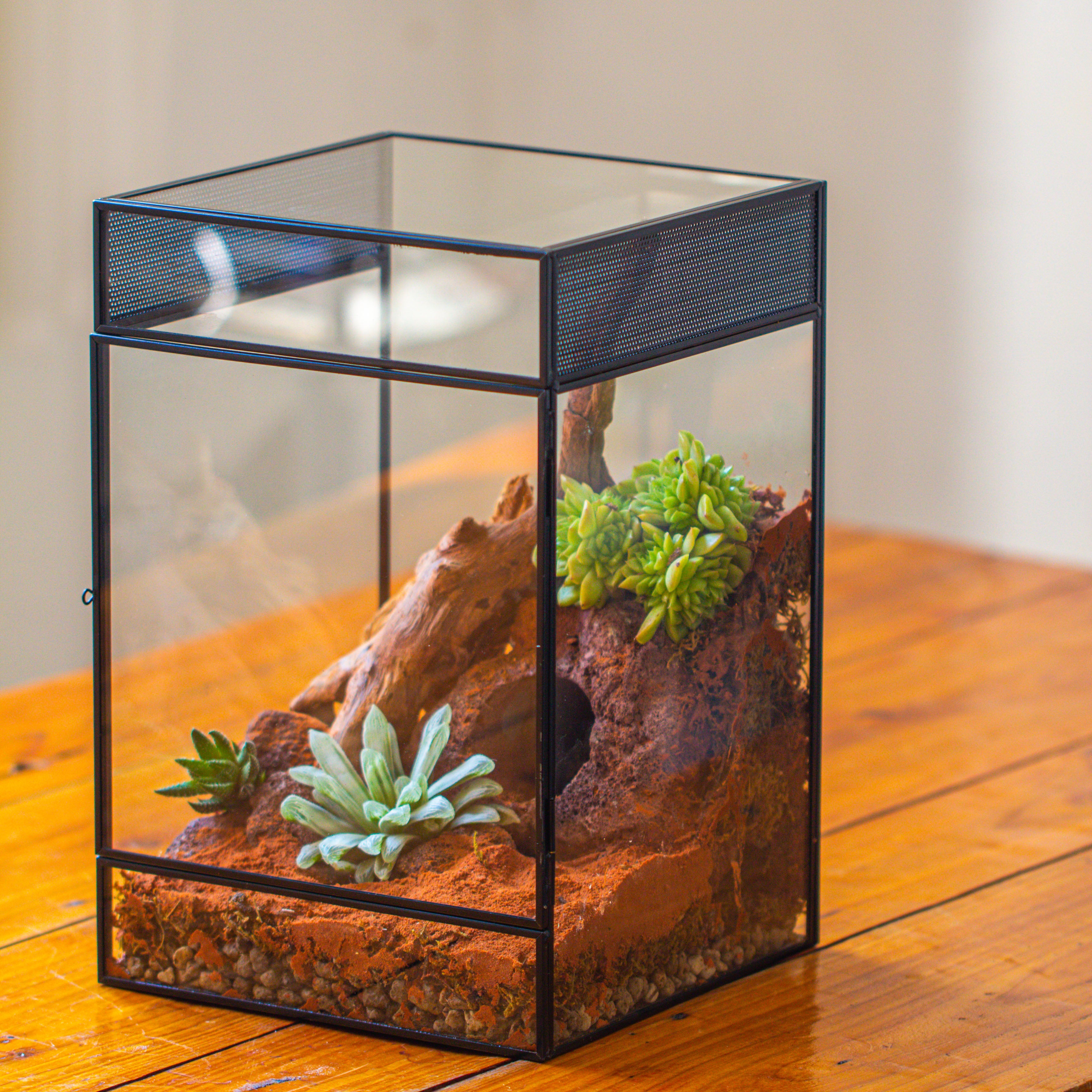 8x8x12 inches Large Handmade Glass Geometric Terrarium with Side Vent, for large insects - NCYPgarden