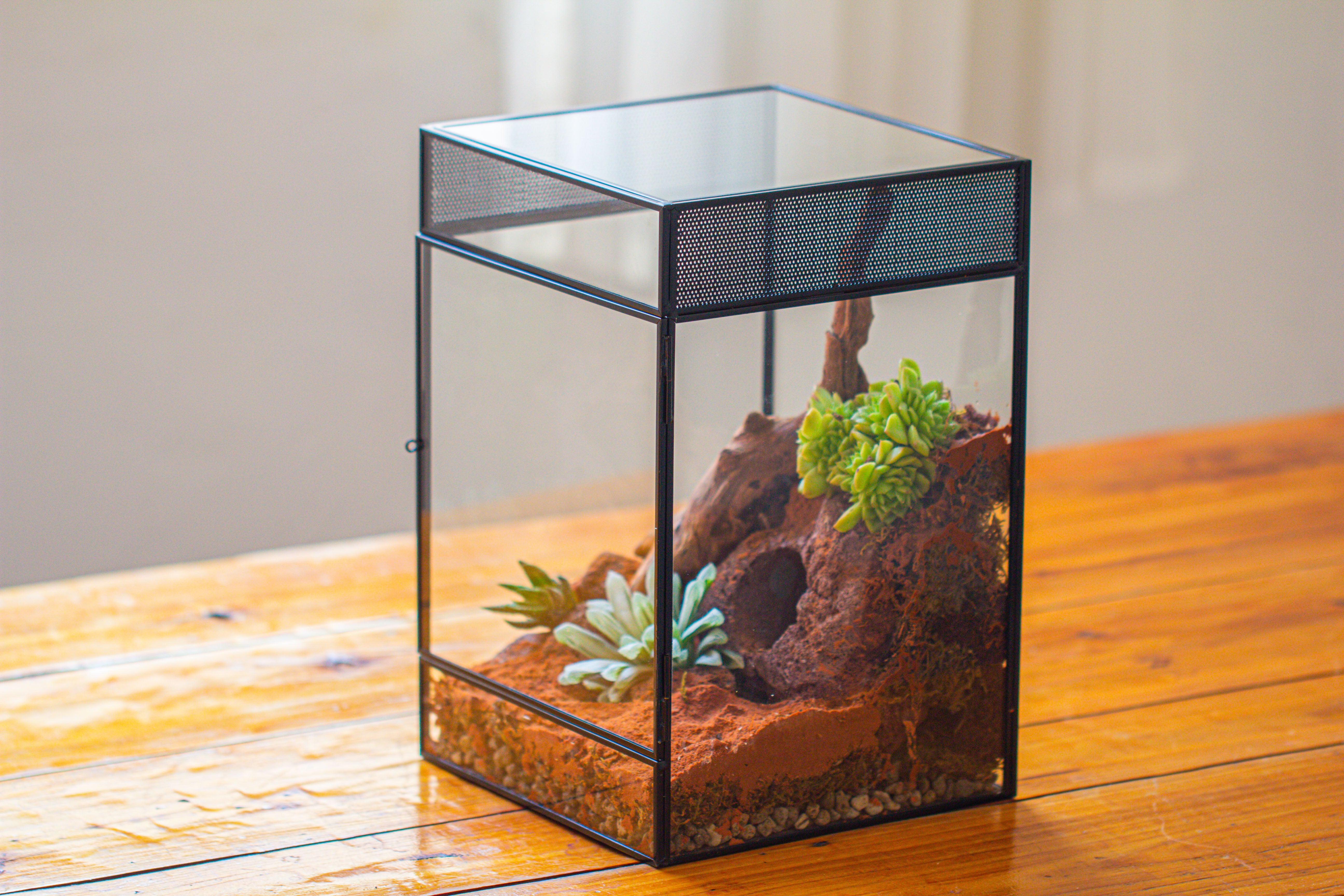 8x8x12 inches Large Handmade Glass Geometric Terrarium with Side Vent, for large insects - NCYPgarden