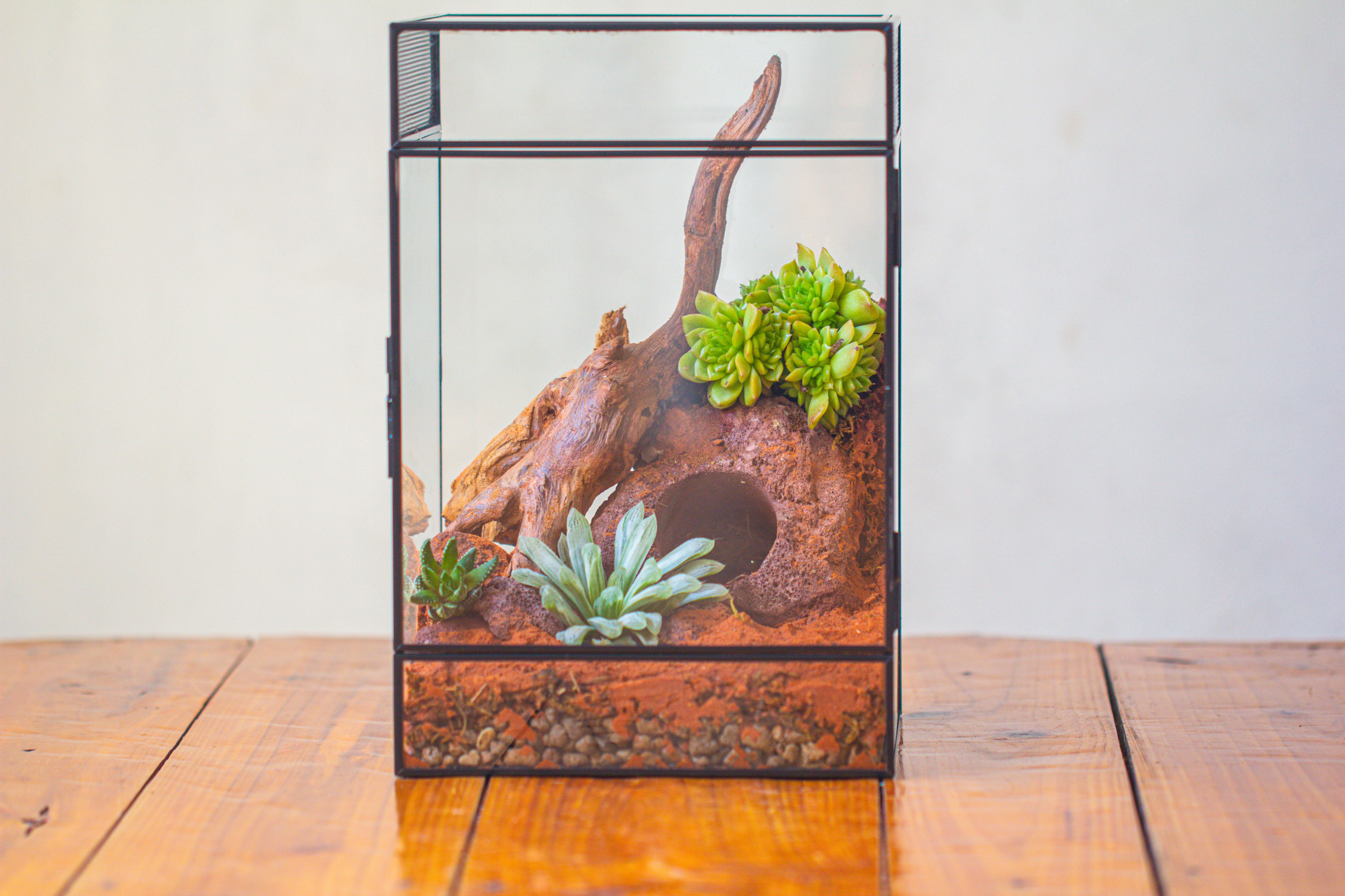 8x8x12 inches Large Handmade Glass Geometric Terrarium with Side Vent, for large insects - NCYPgarden
