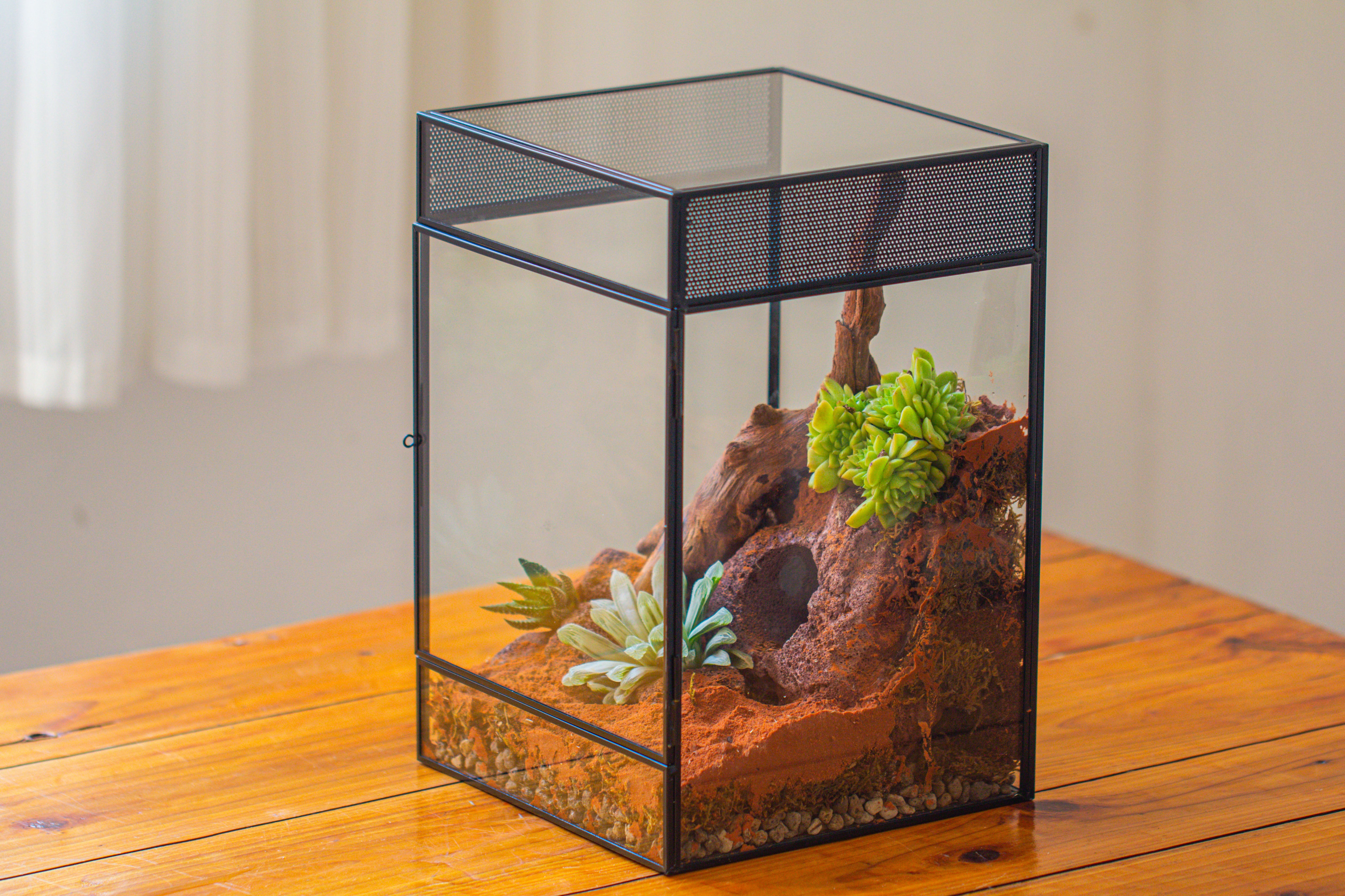 8x8x12 inches Large Handmade Glass Geometric Terrarium with Side Vent, for large insects - NCYPgarden