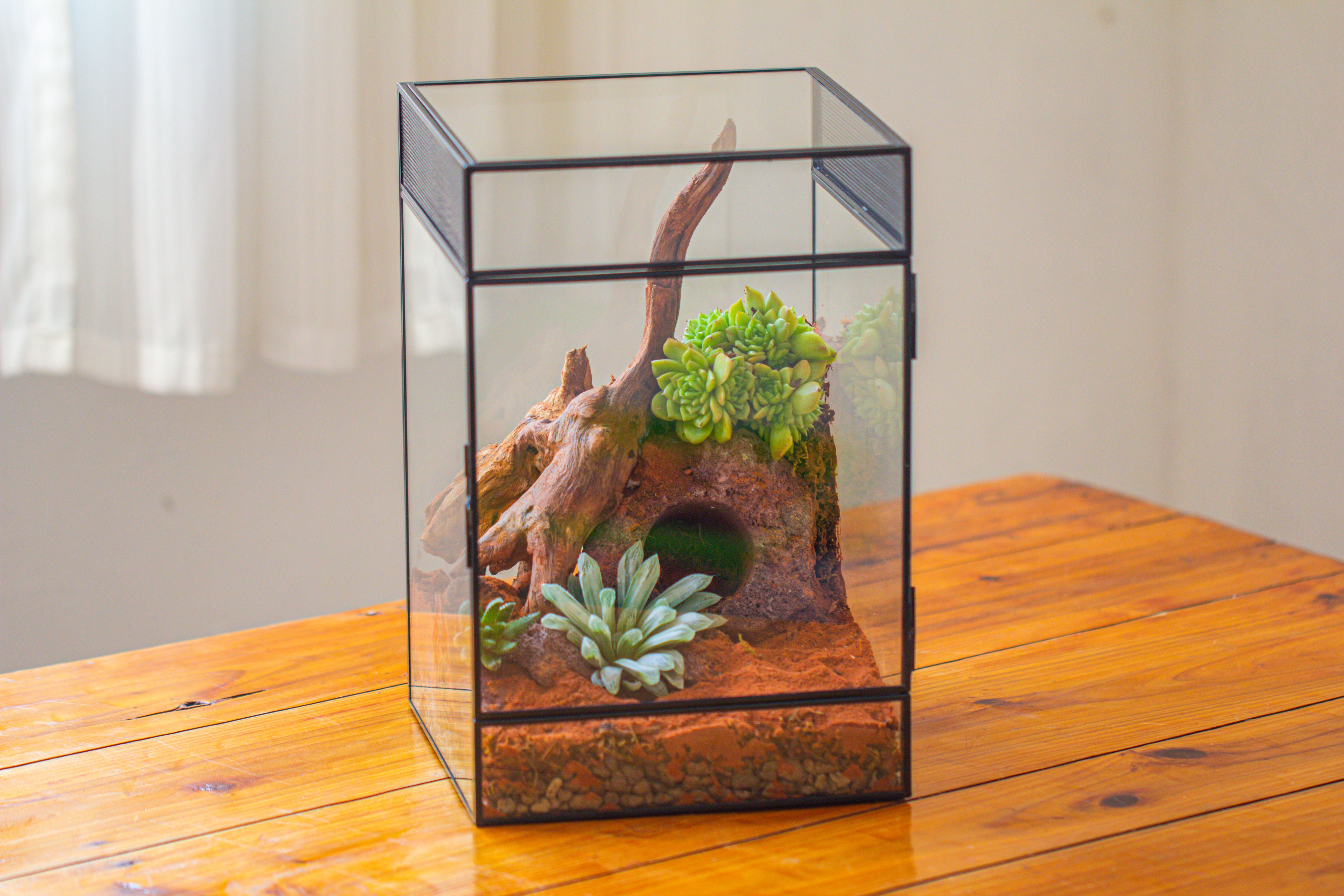 8x8x12 inches Large Handmade Glass Geometric Terrarium with Side Vent, for large insects - NCYPgarden