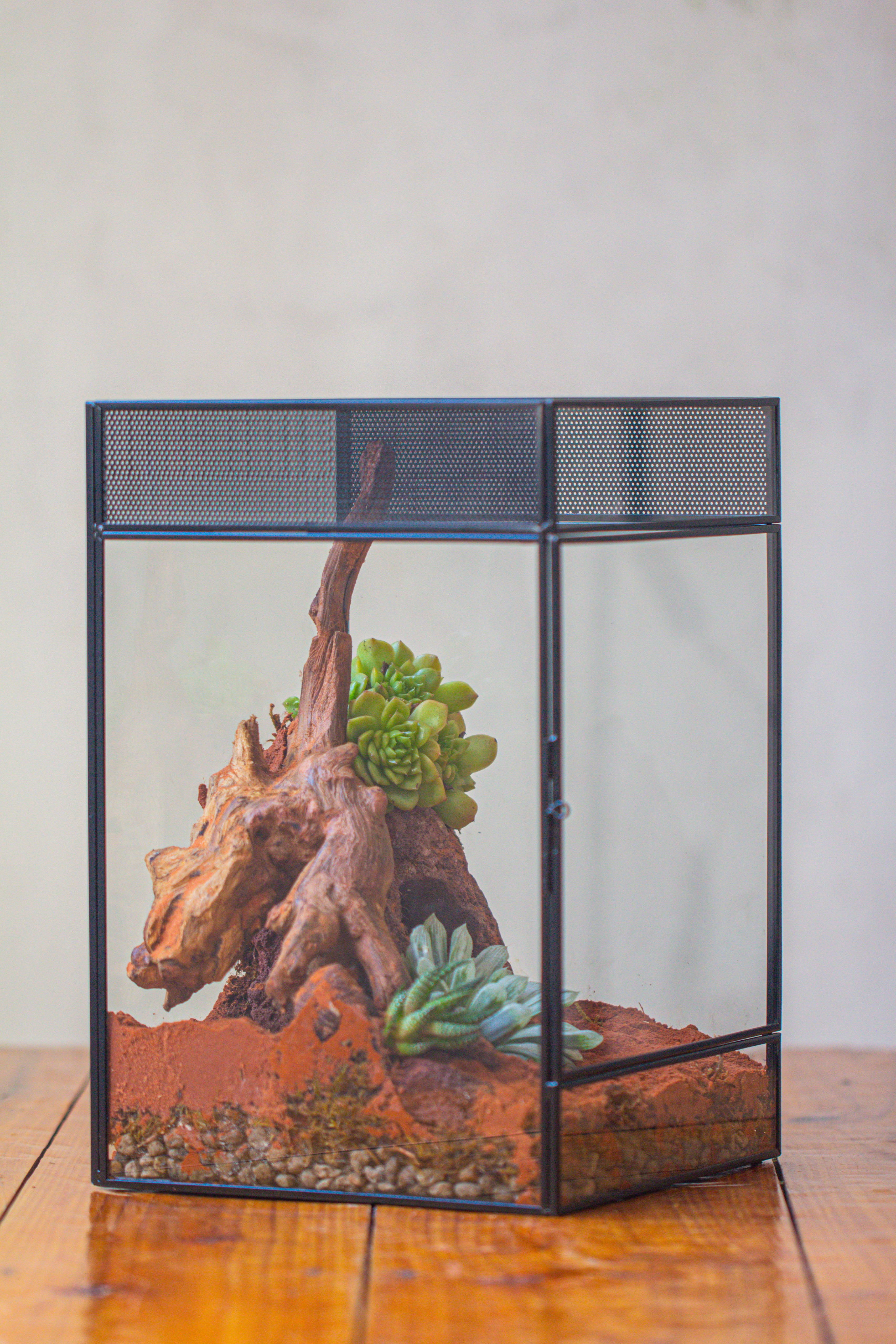 8x8x12 inches Large Handmade Glass Geometric Terrarium with Side Vent, for large insects - NCYPgarden