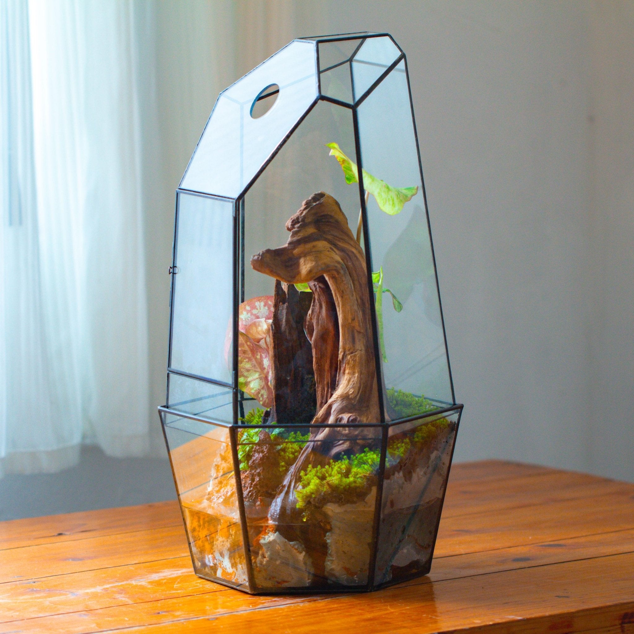 Large 2-Part 18.9" tall Close Glass Terrarium for orchid, fern, moss, Watertight, with top hole - NCYPgarden