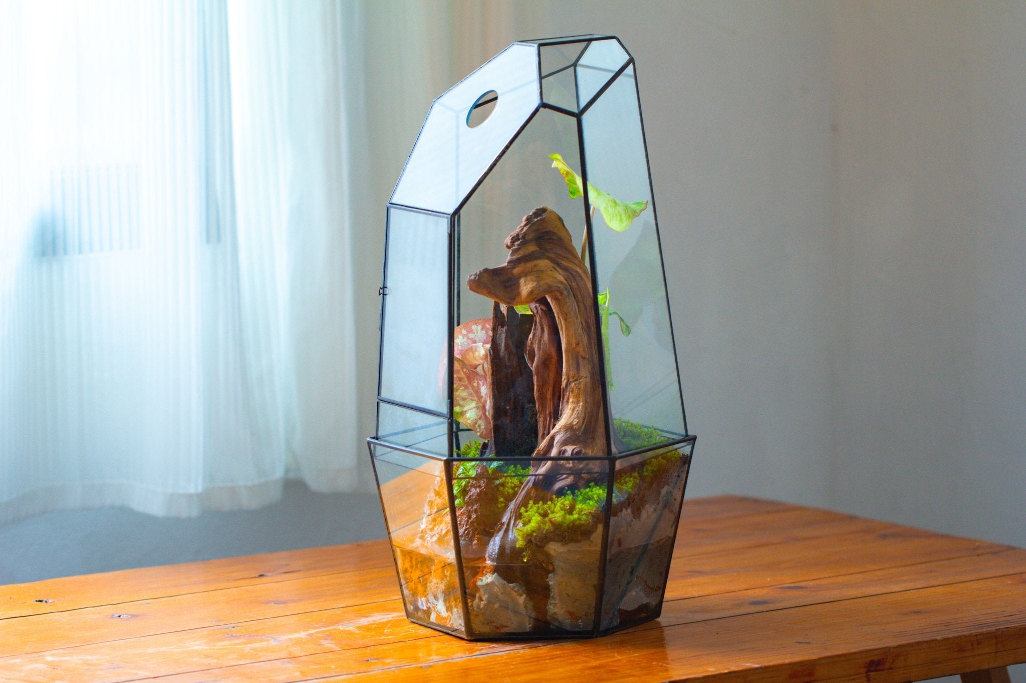 Large 2-Part 18.9" tall Close Glass Terrarium for orchid, fern, moss, Watertight, with top hole - NCYPgarden