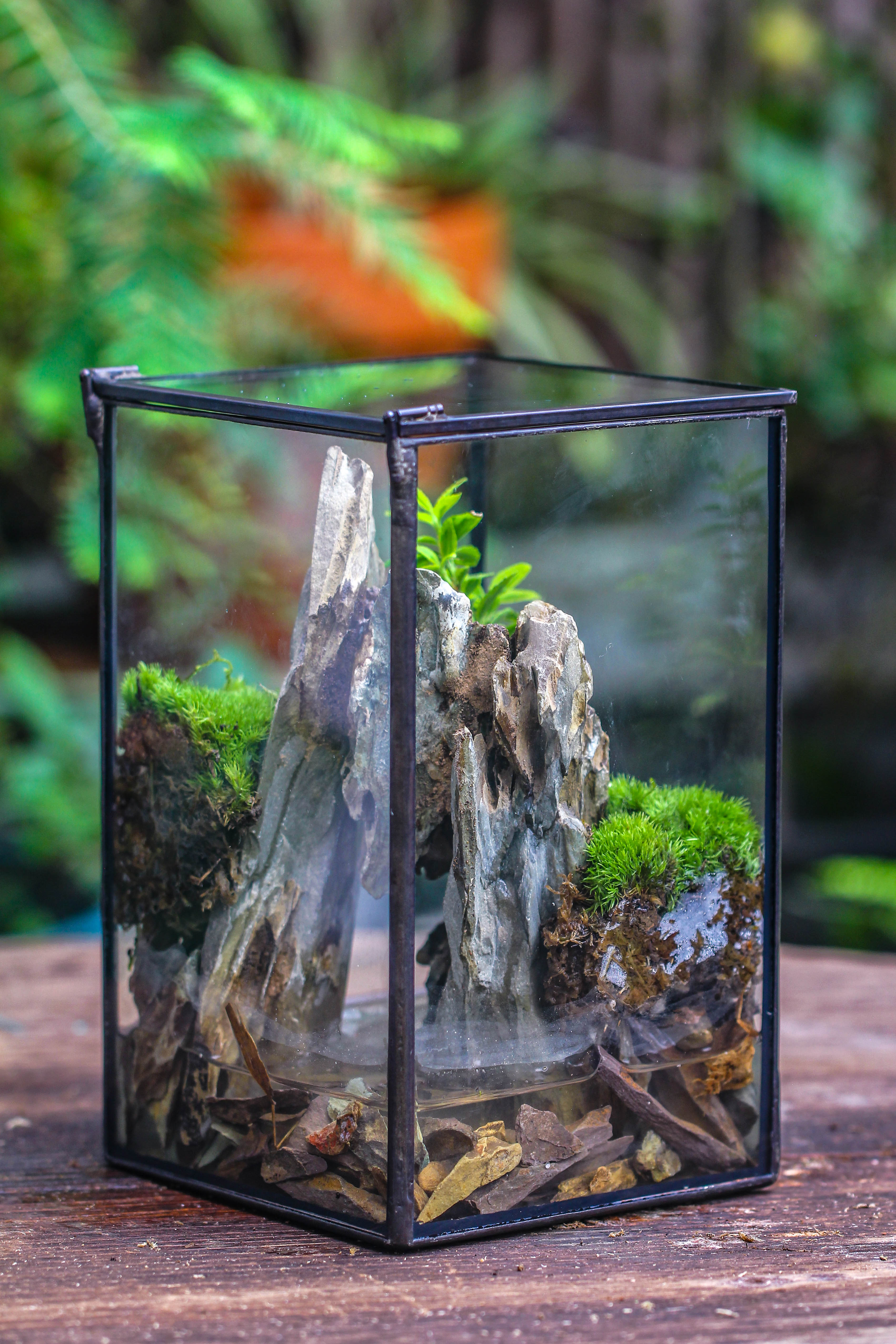 NCYP Watertight Close Geometric Glass Tin Terrarium, for small waterpond, moss landscape, Live Miniature, water pond, miniature - NCYPgarden