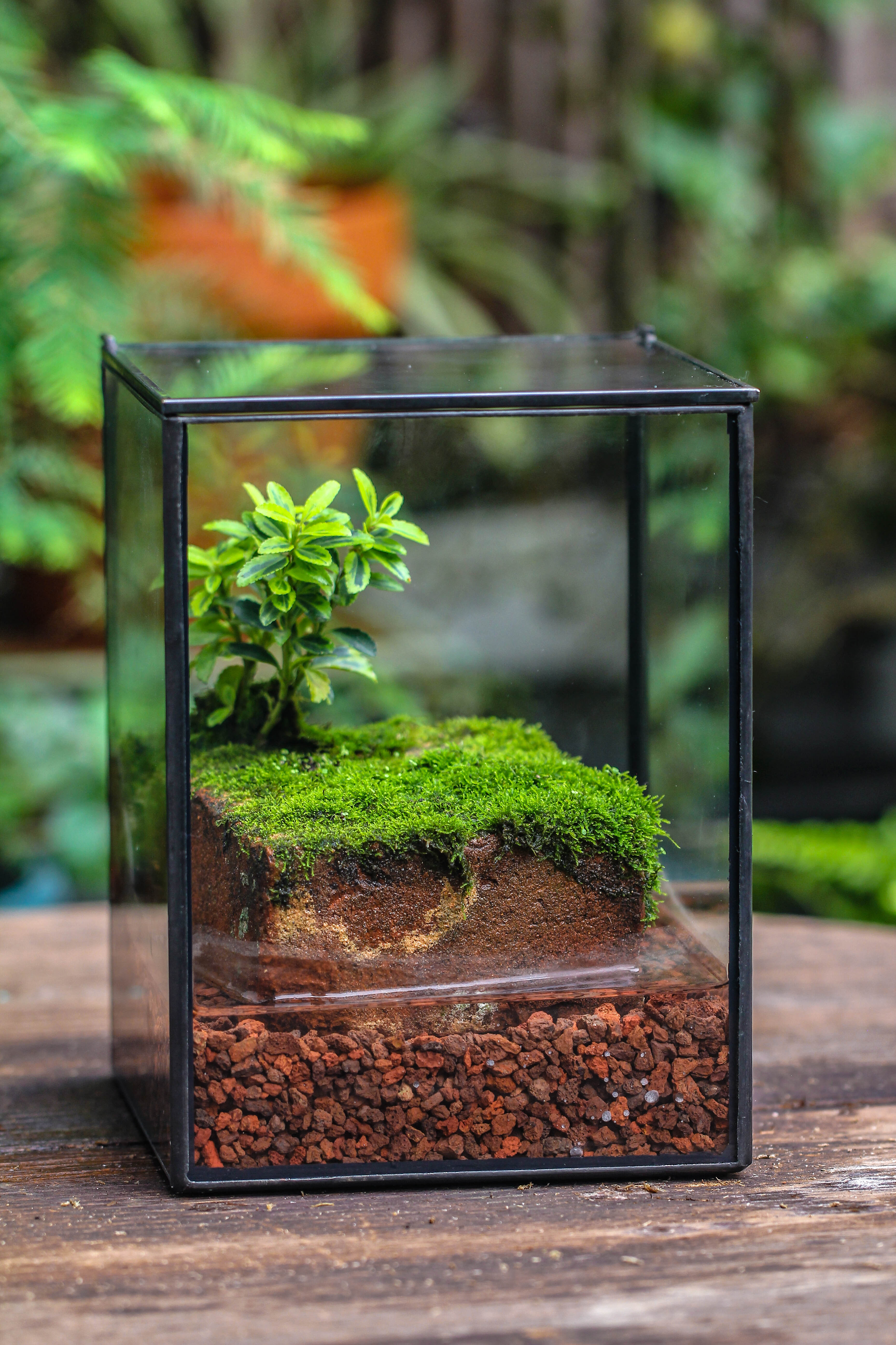 NCYP Watertight Close Geometric Glass Tin Terrarium, for small waterpond, moss landscape, Live Miniature, water pond, miniature - NCYPgarden