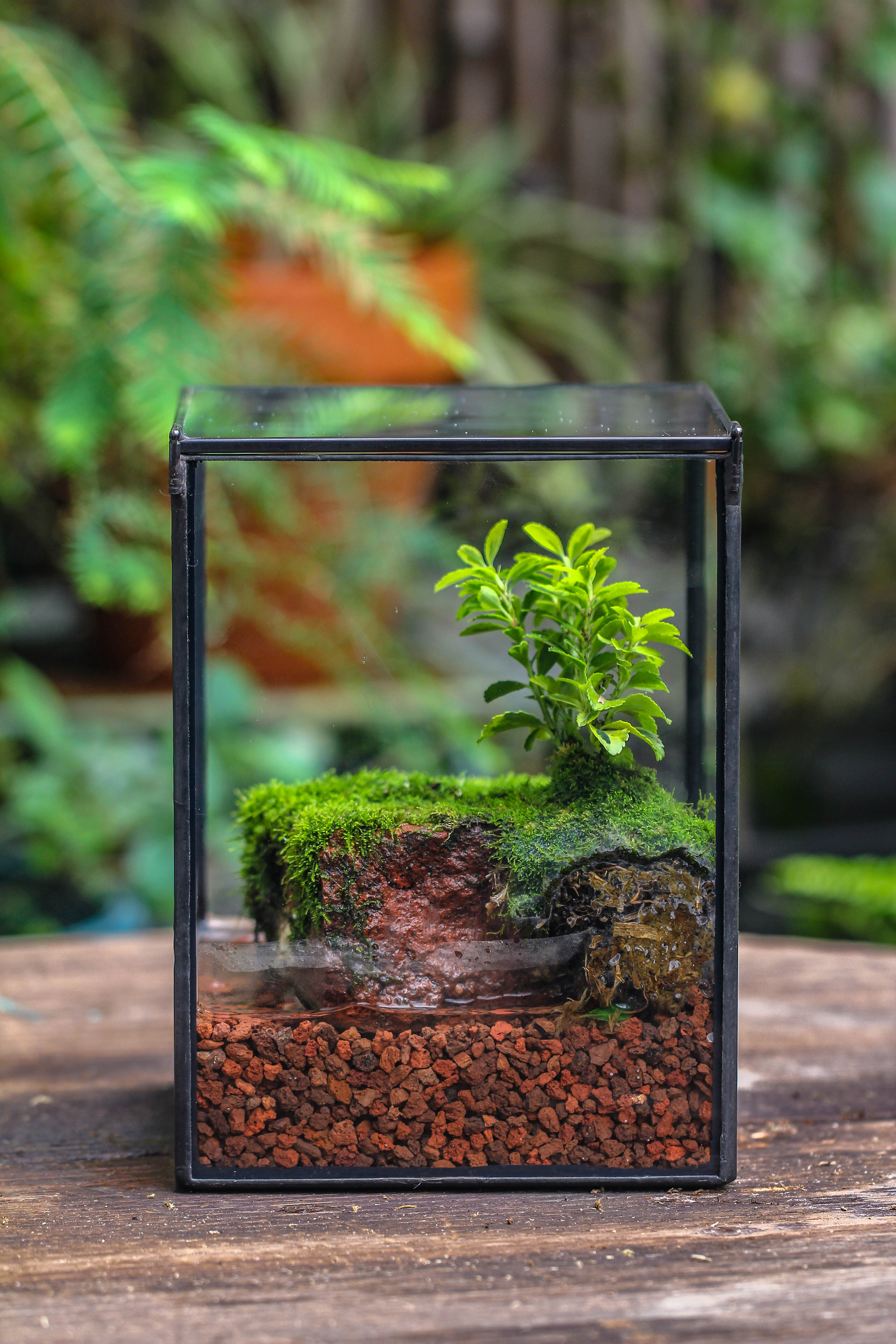 NCYP Watertight Close Geometric Glass Tin Terrarium, for small waterpond, moss landscape, Live Miniature, water pond, miniature - NCYPgarden