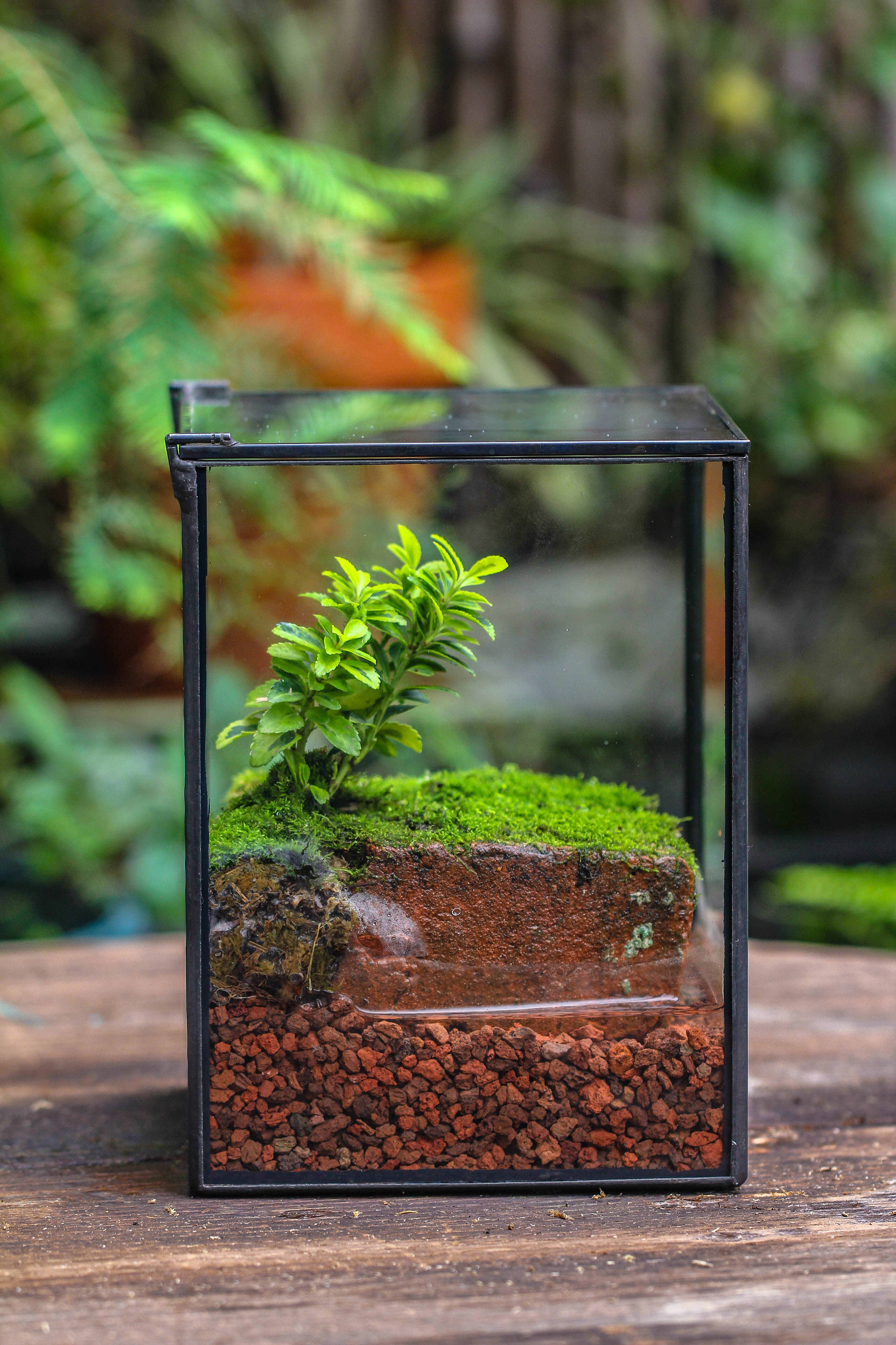 NCYP Watertight Close Geometric Glass Tin Terrarium, for small waterpond, moss landscape, Live Miniature, water pond, miniature - NCYPgarden