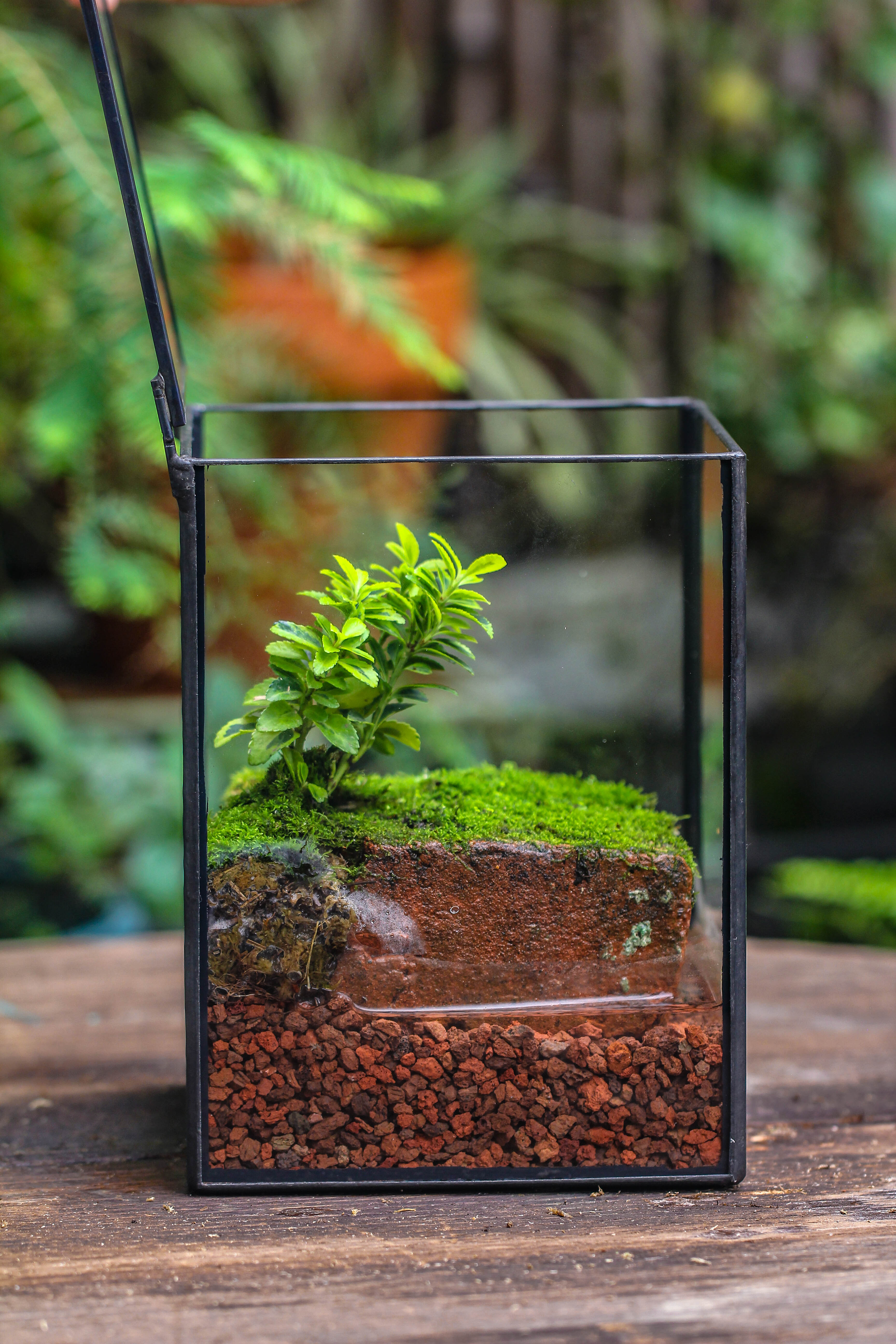NCYP Watertight Close Geometric Glass Tin Terrarium, for small waterpond, moss landscape, Live Miniature, water pond, miniature - NCYPgarden