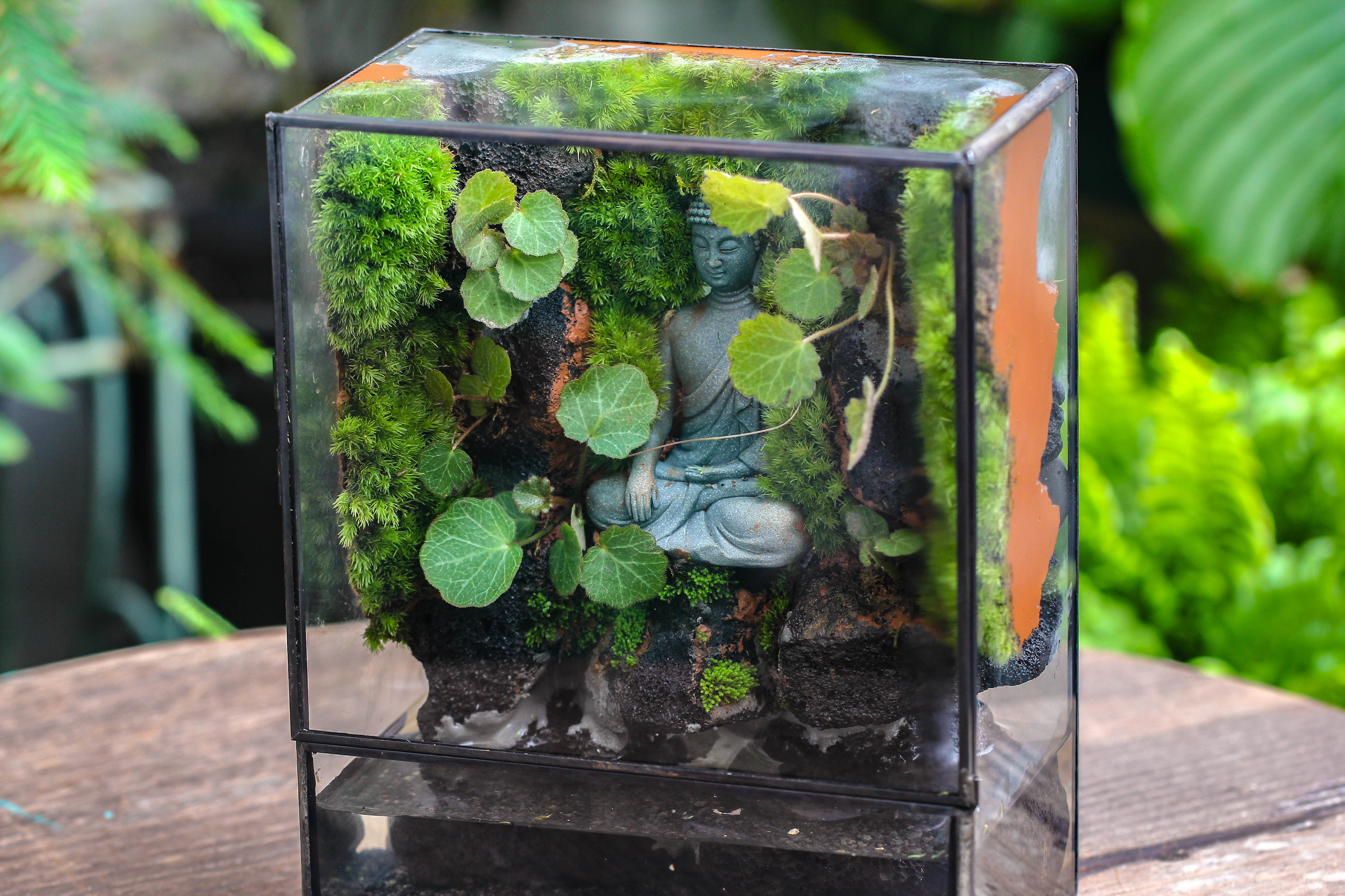 5-8cm Black Horticultural Lava Rock Volcanic Rock for Terrarium, Bonsai Landscape, 500g - NCYPgarden