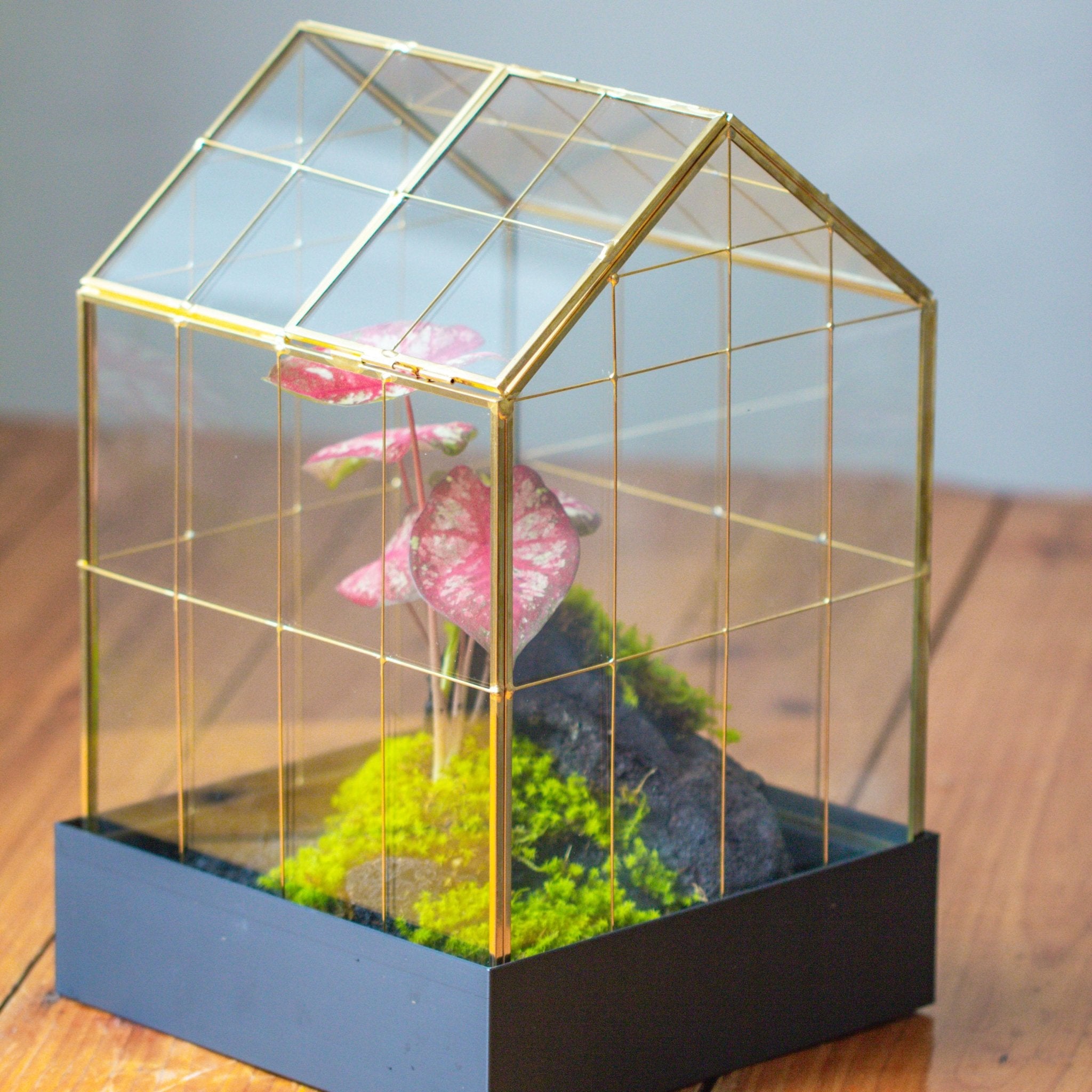 Gold 11” Vintage Greenhouse Glass Terrarium with Water-Holding Tray and Top Door - NCYPgarden