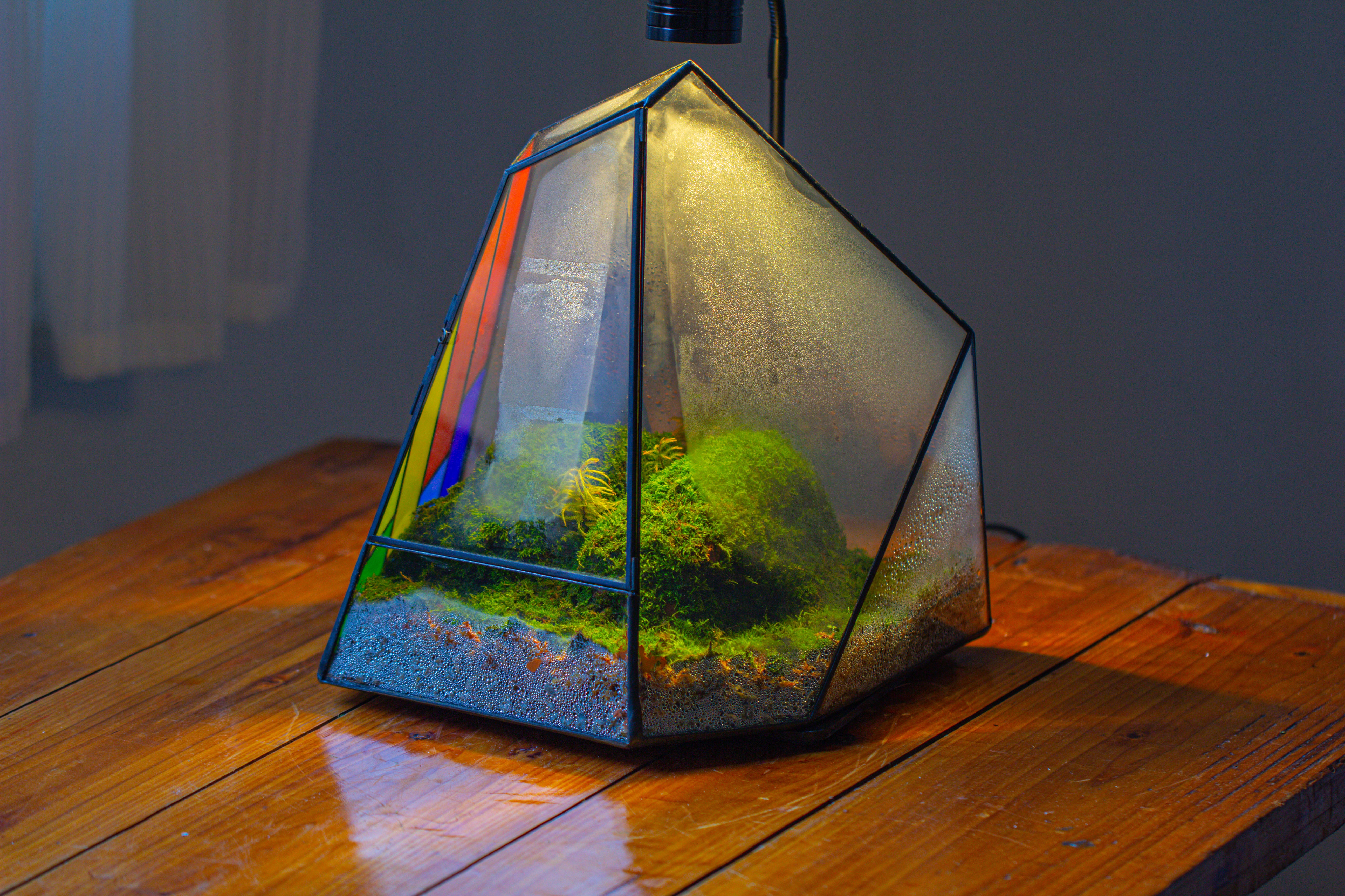 Rainbow Stained Glass Irregular Geometric Ice Peak  Shape Terrarium, Close - NCYPgarden