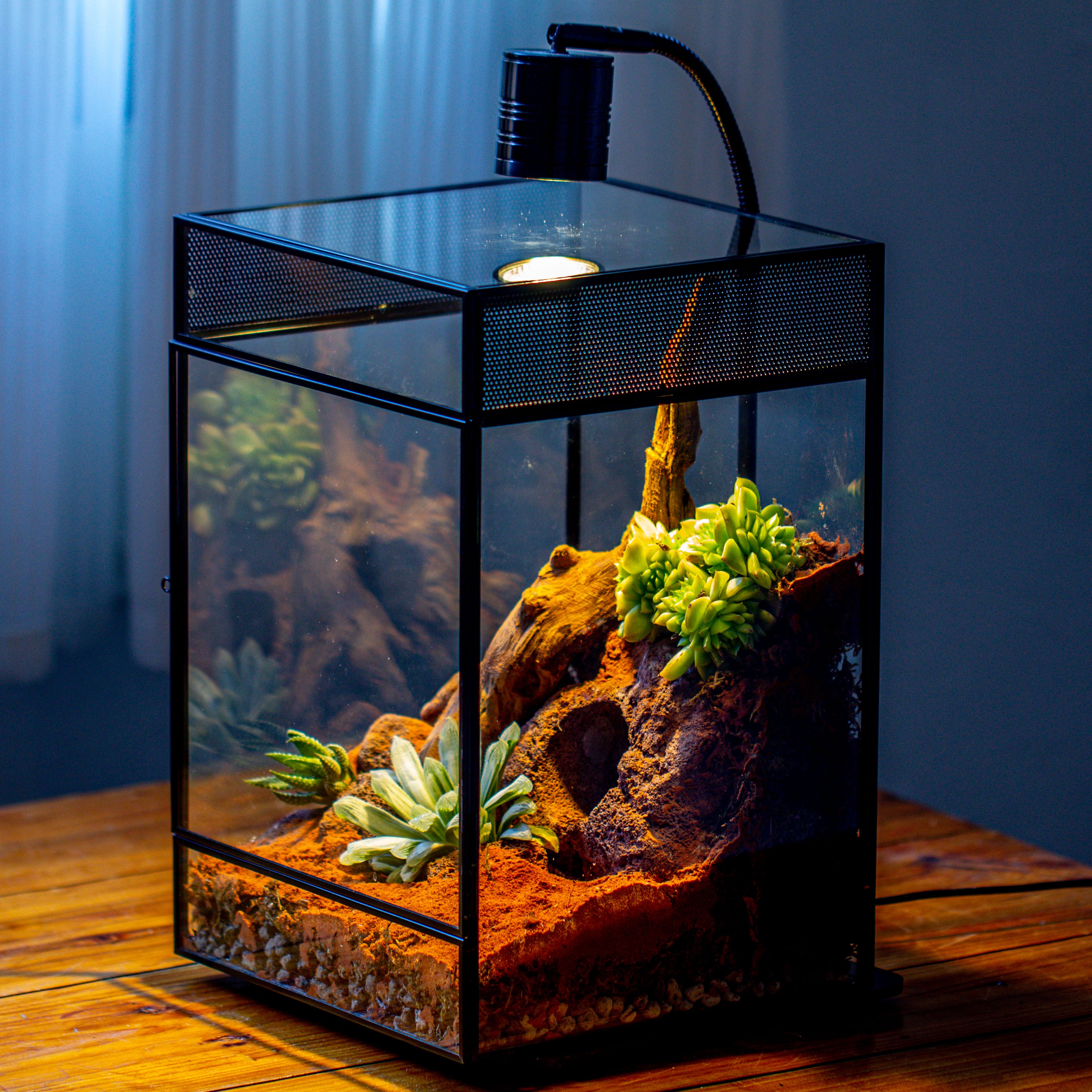 8x8x12 inches Large Handmade Glass Geometric Terrarium with Side Vent, for large insects - NCYPgarden