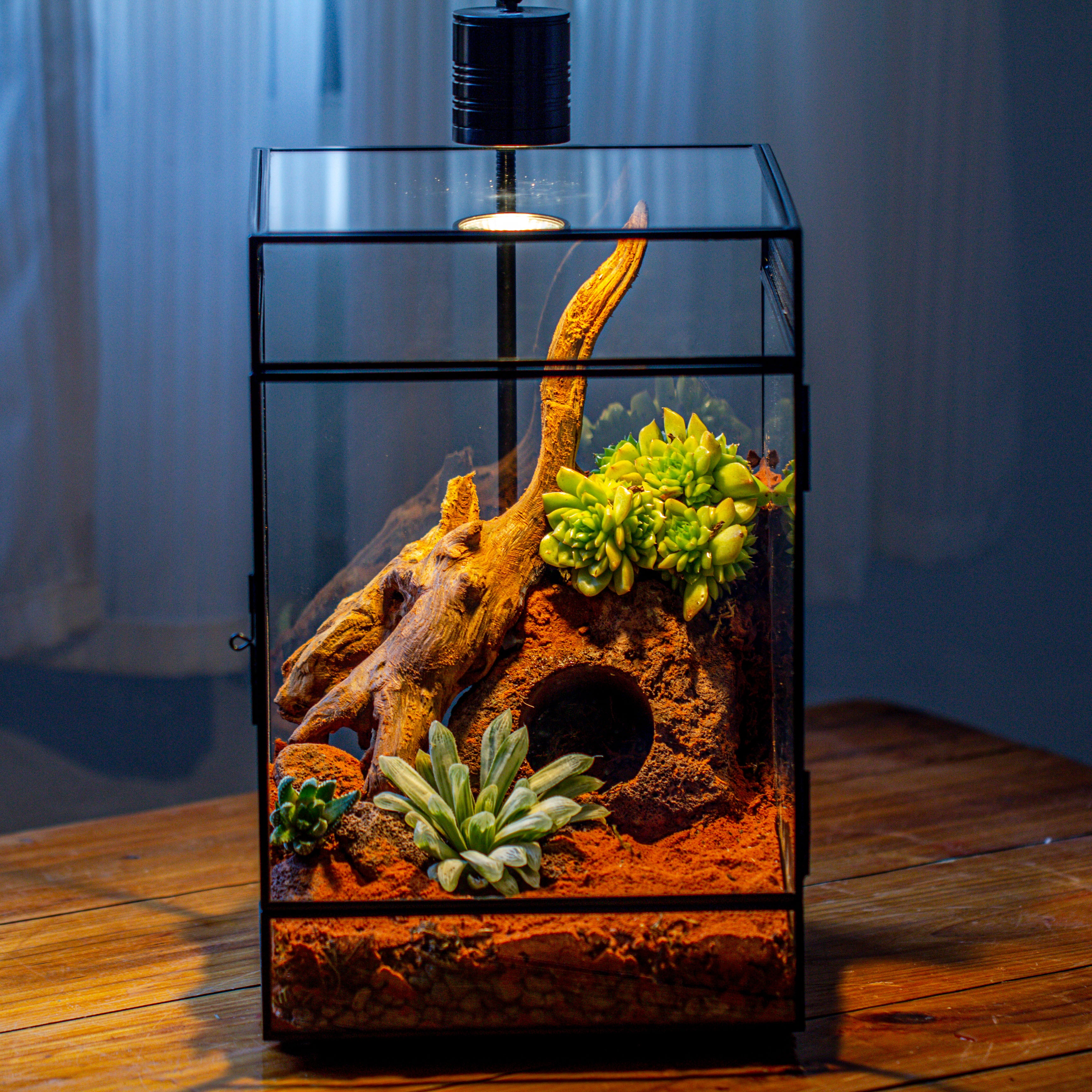 8x8x12 inches Large Handmade Glass Geometric Terrarium with Side Vent, for large insects - NCYPgarden