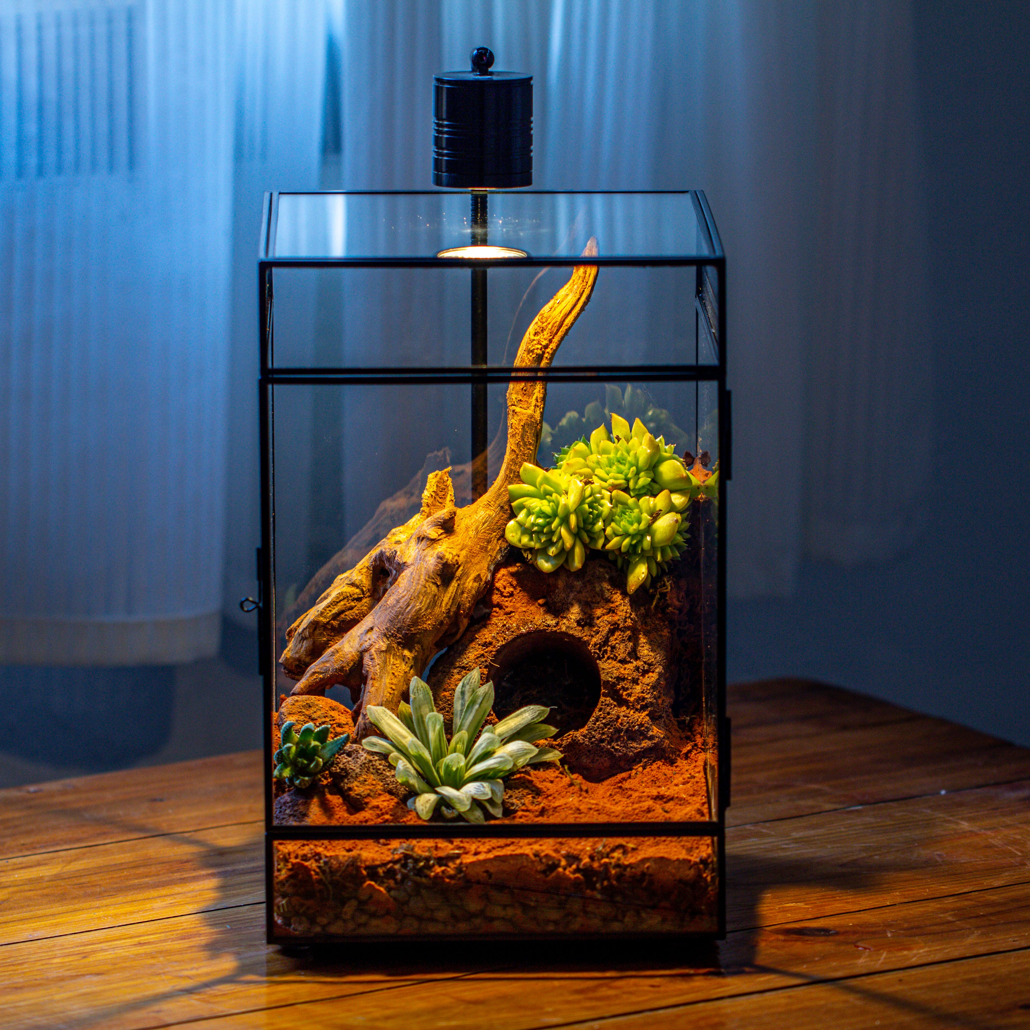 8x8x12 inches Large Handmade Glass Geometric Terrarium with Side Vent, for large insects - NCYPgarden