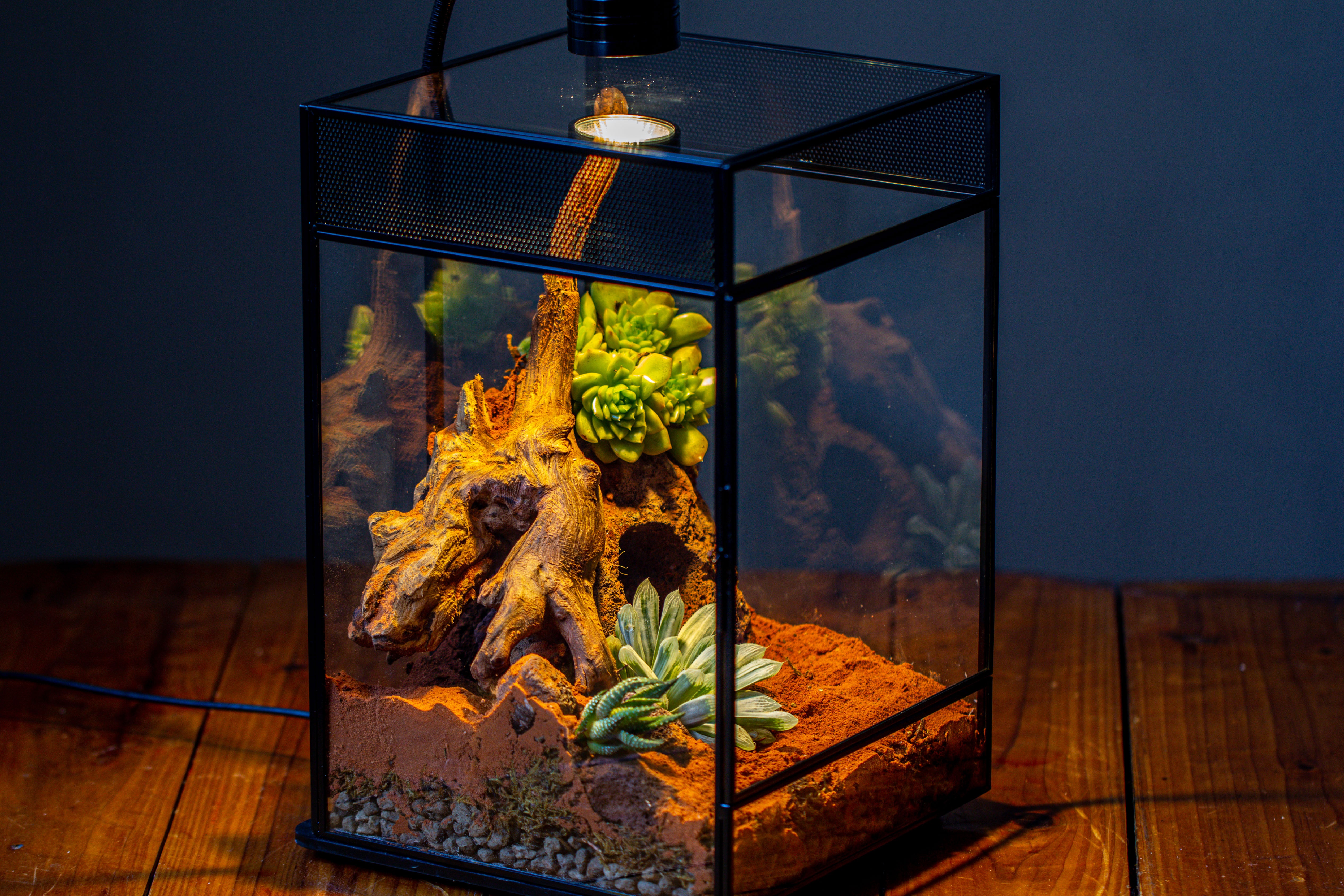 8x8x12 inches Large Handmade Glass Geometric Terrarium with Side Vent, for large insects - NCYPgarden