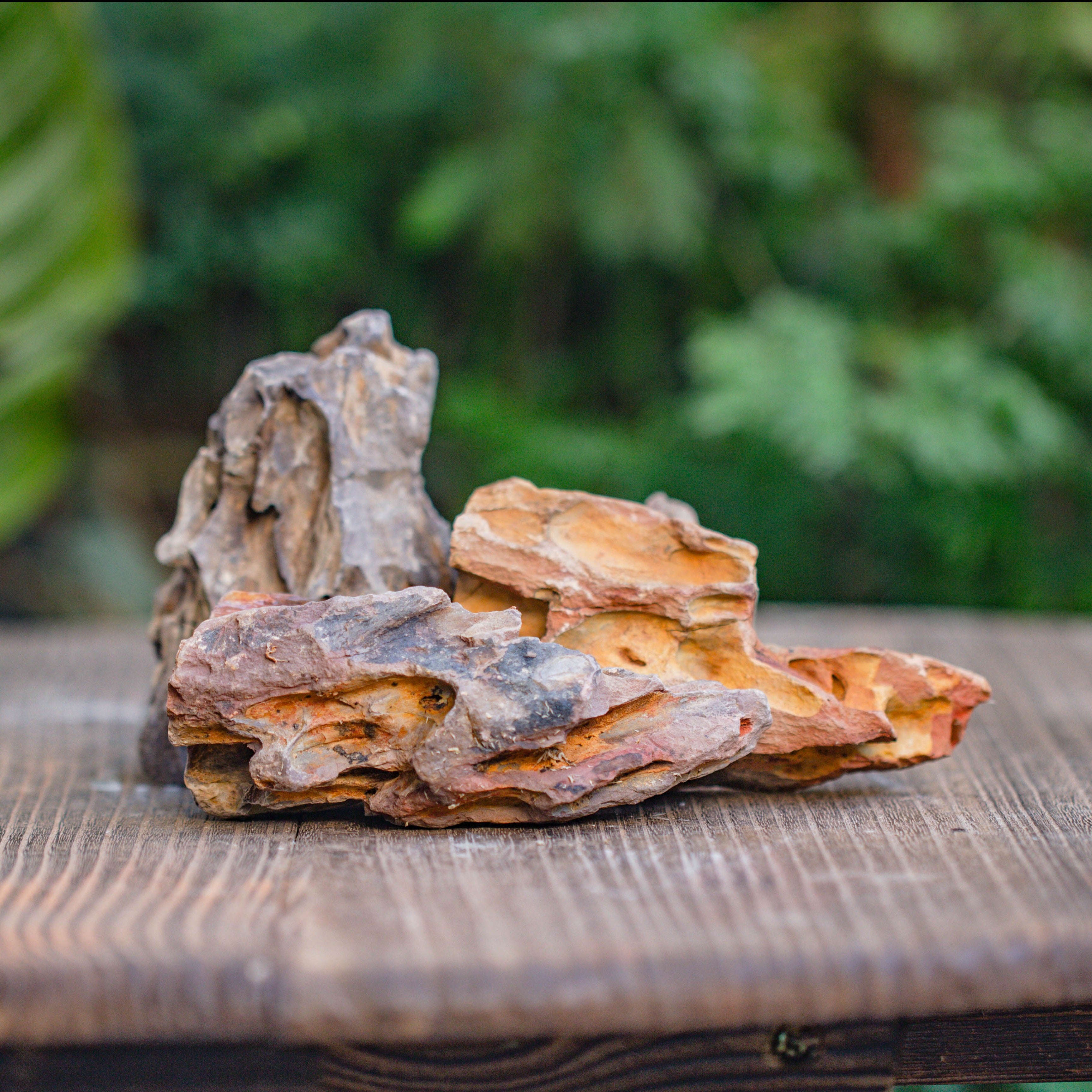 2-6" / 5-15cm cutted Flat bottom Natural Ohko Dragon Stone Rock for Terrarium, Aquarium Bonsai Landscape, 2kg/4.4lb, with DIY tools - NCYPgarden