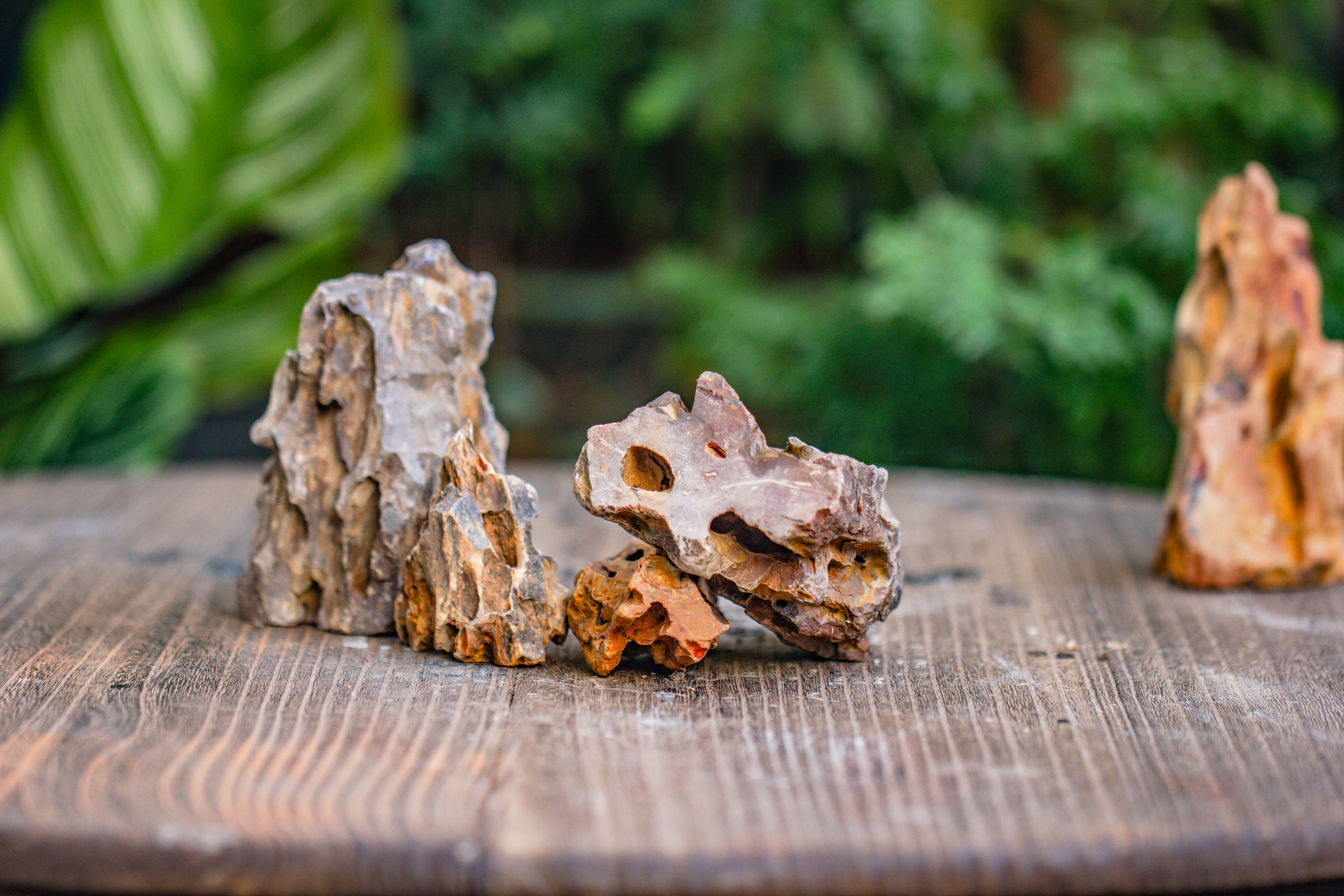 2-6" / 5-15cm cutted Flat bottom Natural Ohko Dragon Stone Rock for Terrarium, Aquarium Bonsai Landscape, 2kg/4.4lb, with DIY tools - NCYPgarden