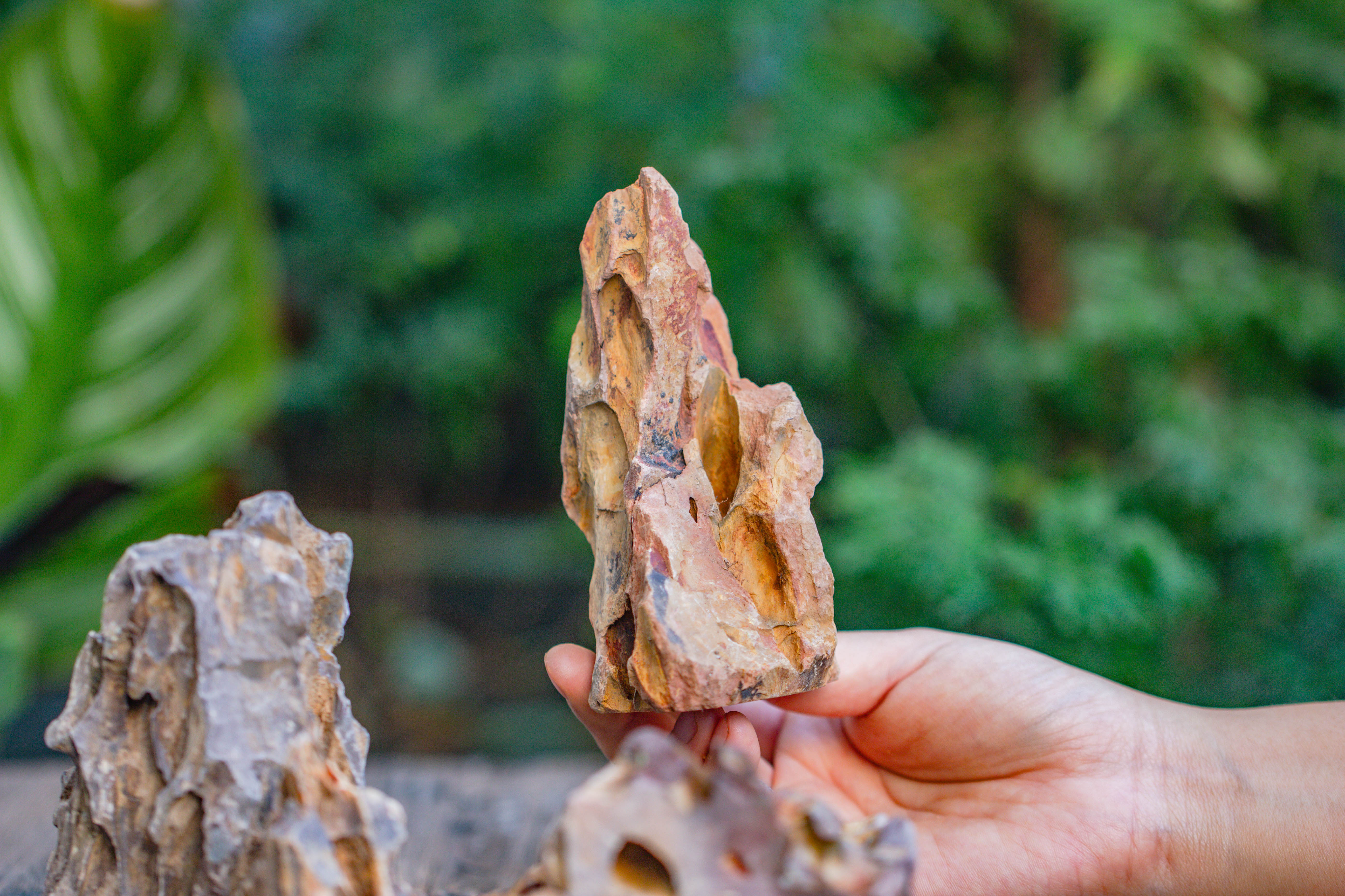 2-6" / 5-15cm cutted Flat bottom Natural Ohko Dragon Stone Rock for Terrarium, Aquarium Bonsai Landscape, 2kg/4.4lb, with DIY tools - NCYPgarden