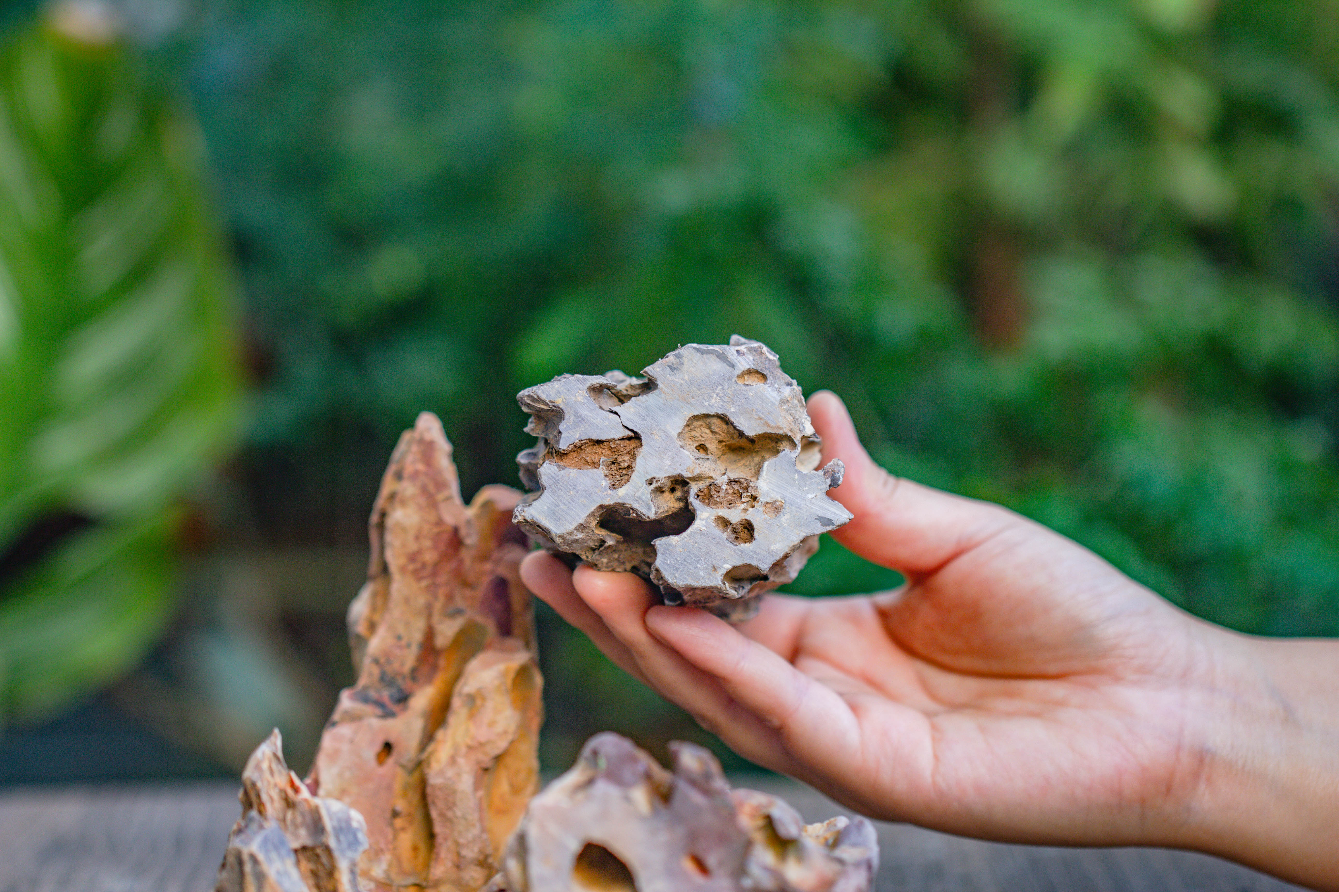 2-6" / 5-15cm cutted Flat bottom Natural Ohko Dragon Stone Rock for Terrarium, Aquarium Bonsai Landscape, 2kg/4.4lb, with DIY tools - NCYPgarden