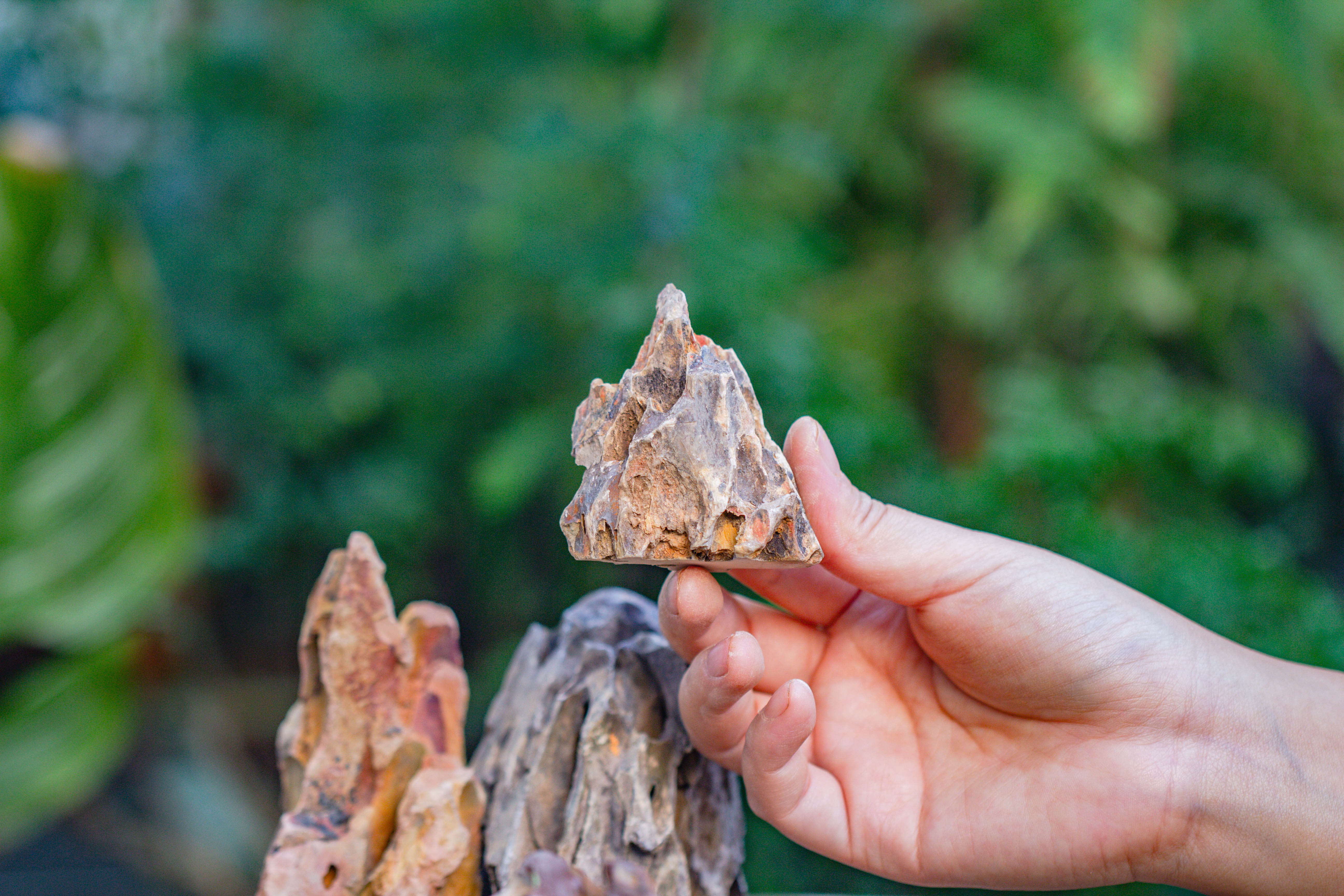 2-6" / 5-15cm cutted Flat bottom Natural Ohko Dragon Stone Rock for Terrarium, Aquarium Bonsai Landscape, 2kg/4.4lb, with DIY tools - NCYPgarden