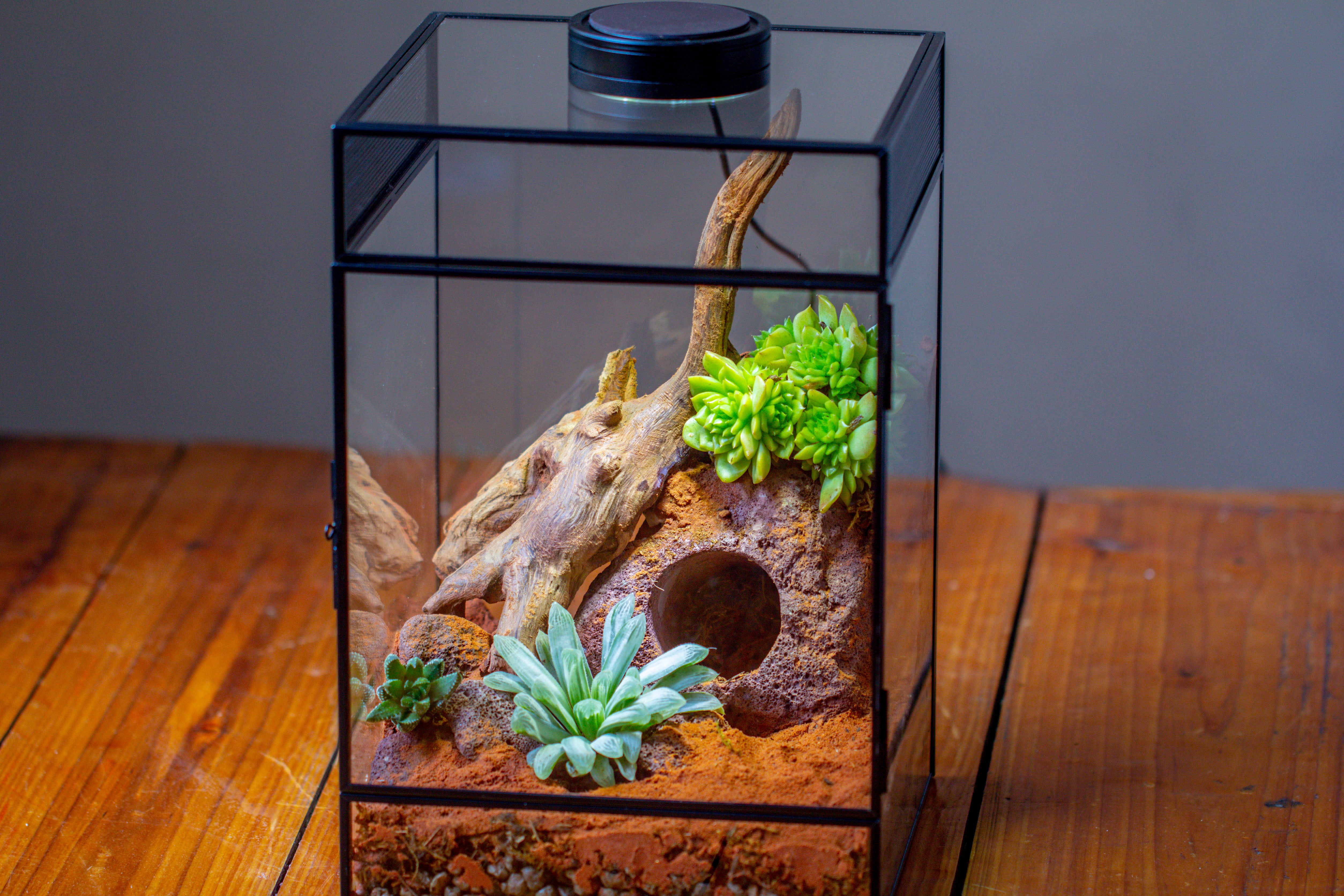 8x8x12 inches Large Handmade Glass Geometric Terrarium with Side Vent, for large insects - NCYPgarden