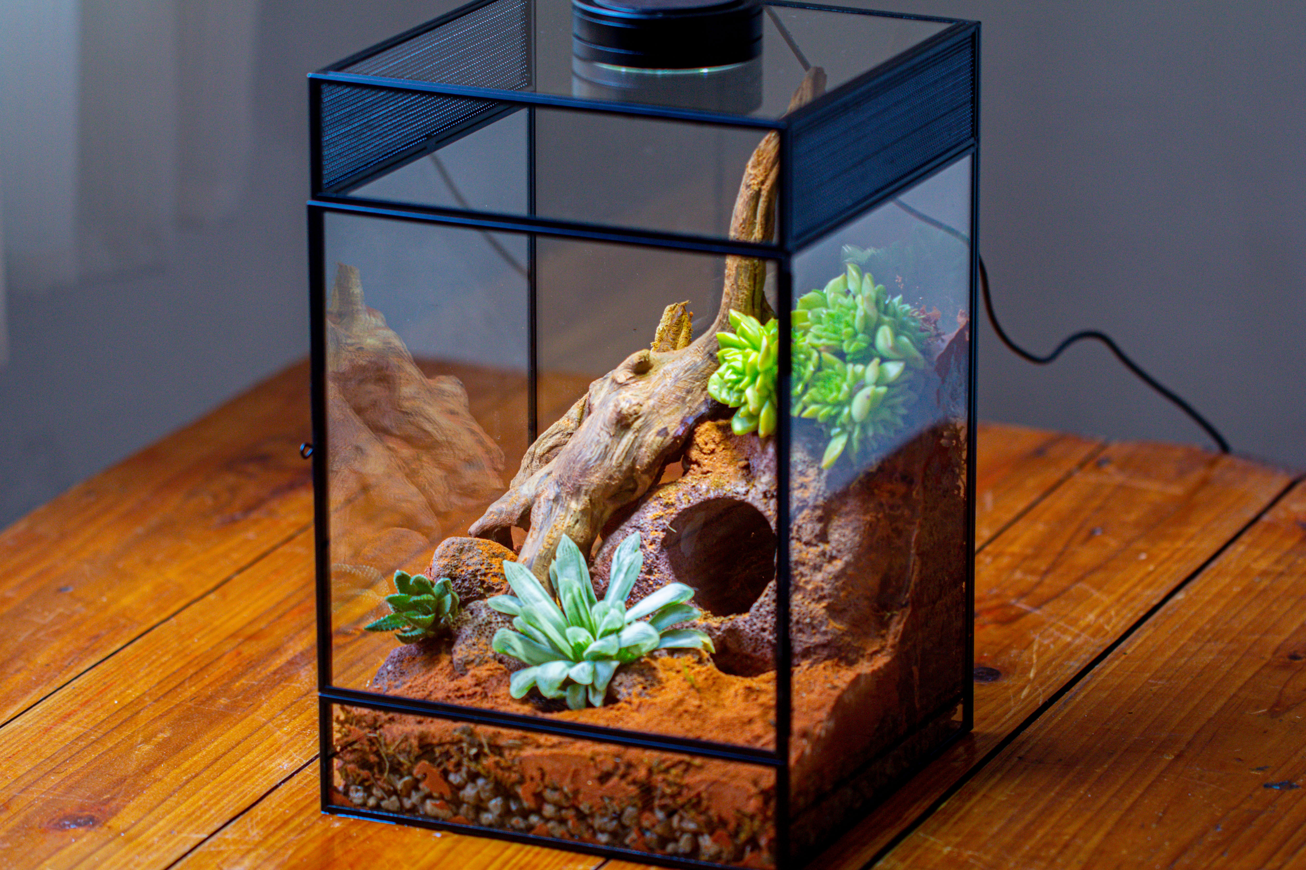 8x8x12 inches Large Handmade Glass Geometric Terrarium with Side Vent, for large insects - NCYPgarden