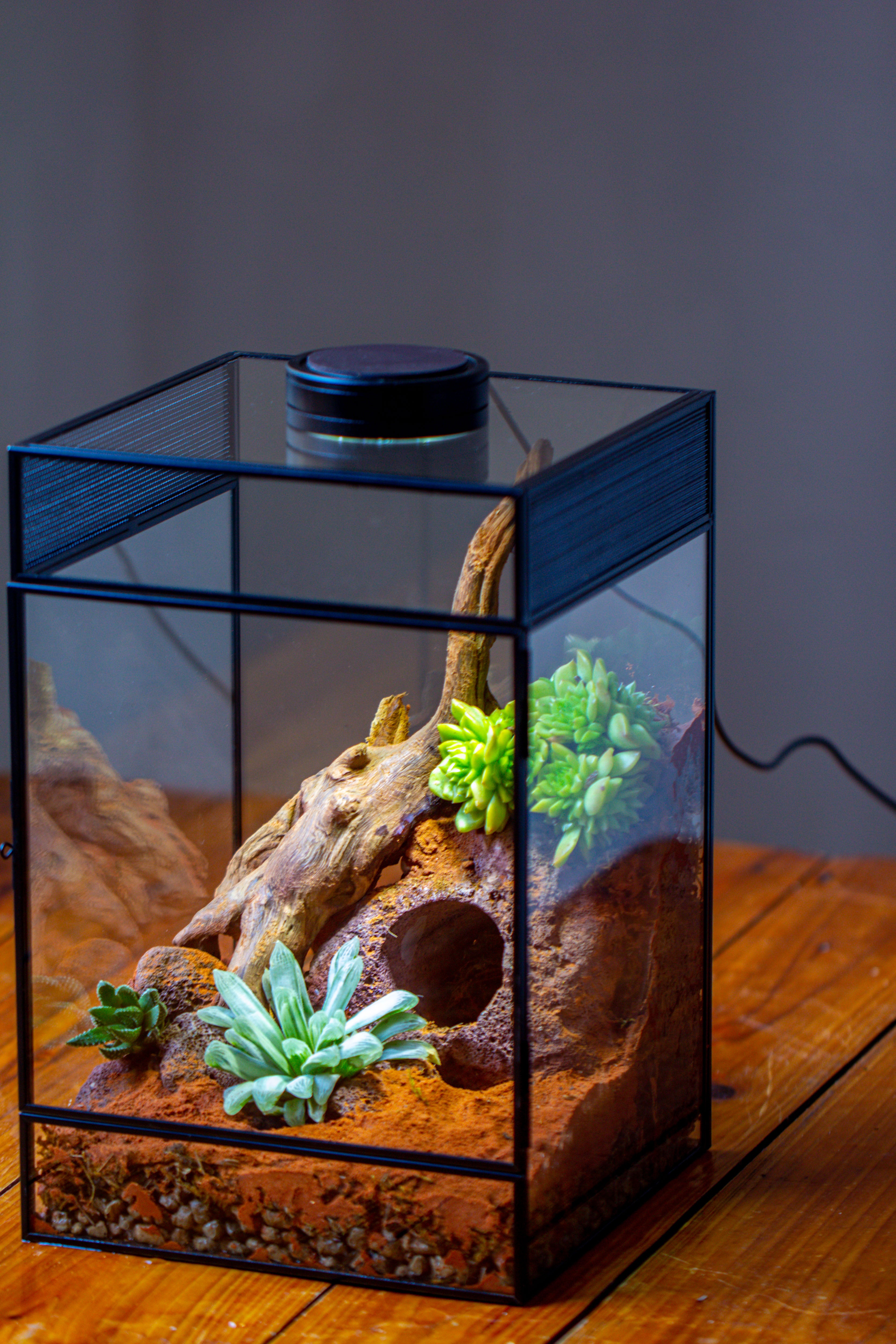 8x8x12 inches Large Handmade Glass Geometric Terrarium with Side Vent, for large insects - NCYPgarden