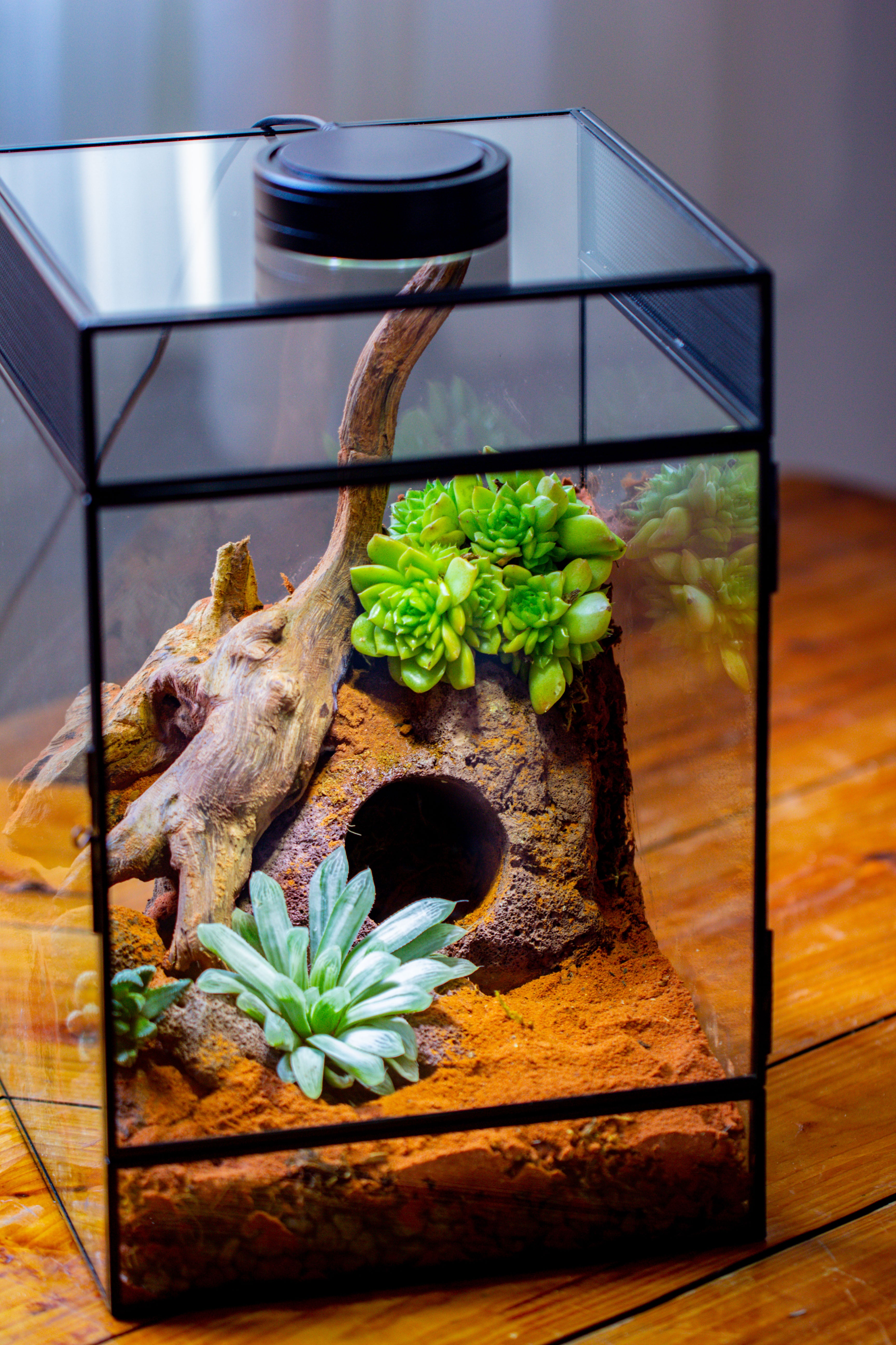 8x8x12 inches Large Handmade Glass Geometric Terrarium with Side Vent, for large insects - NCYPgarden