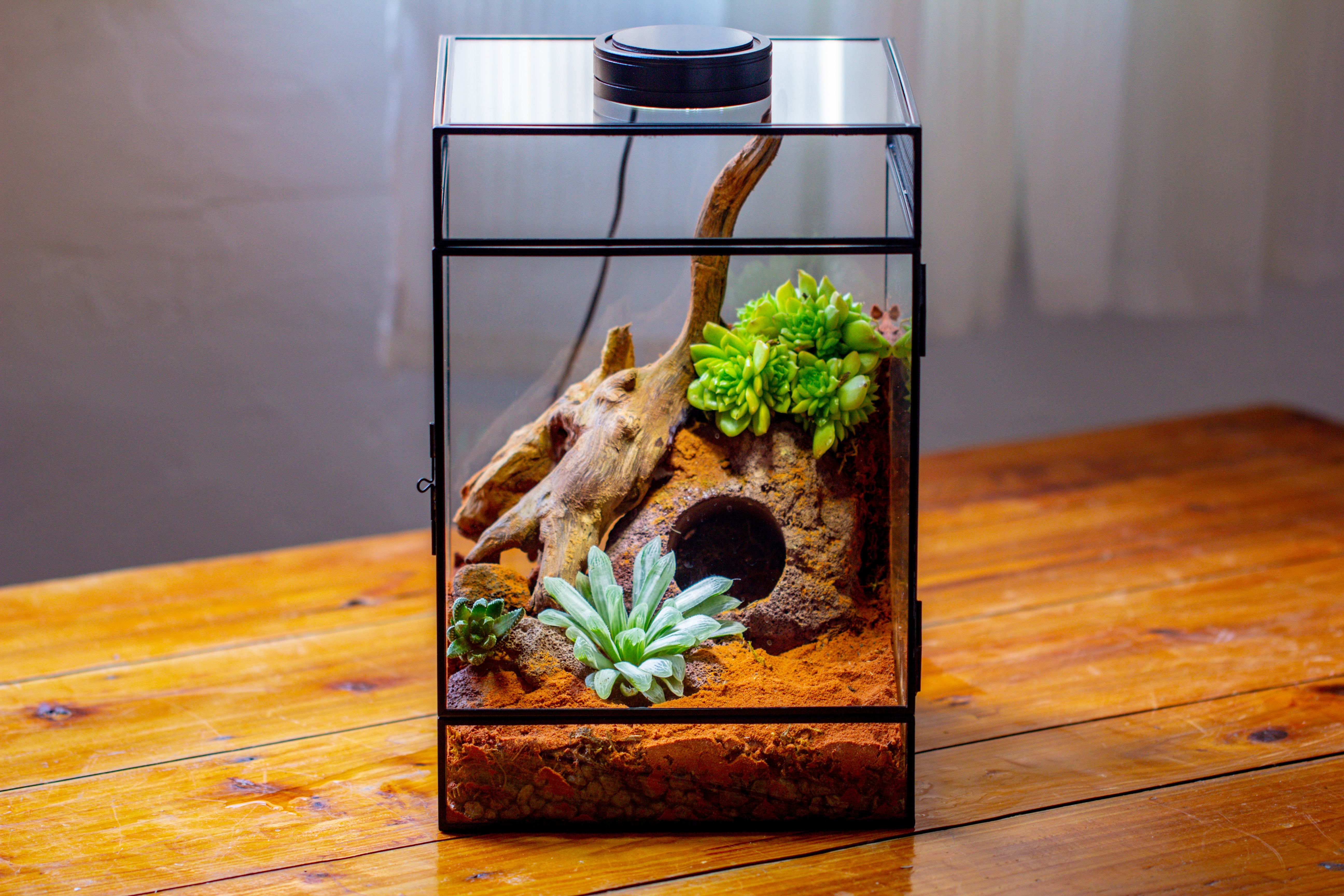 8x8x12 inches Large Handmade Glass Geometric Terrarium with Side Vent, for large insects - NCYPgarden
