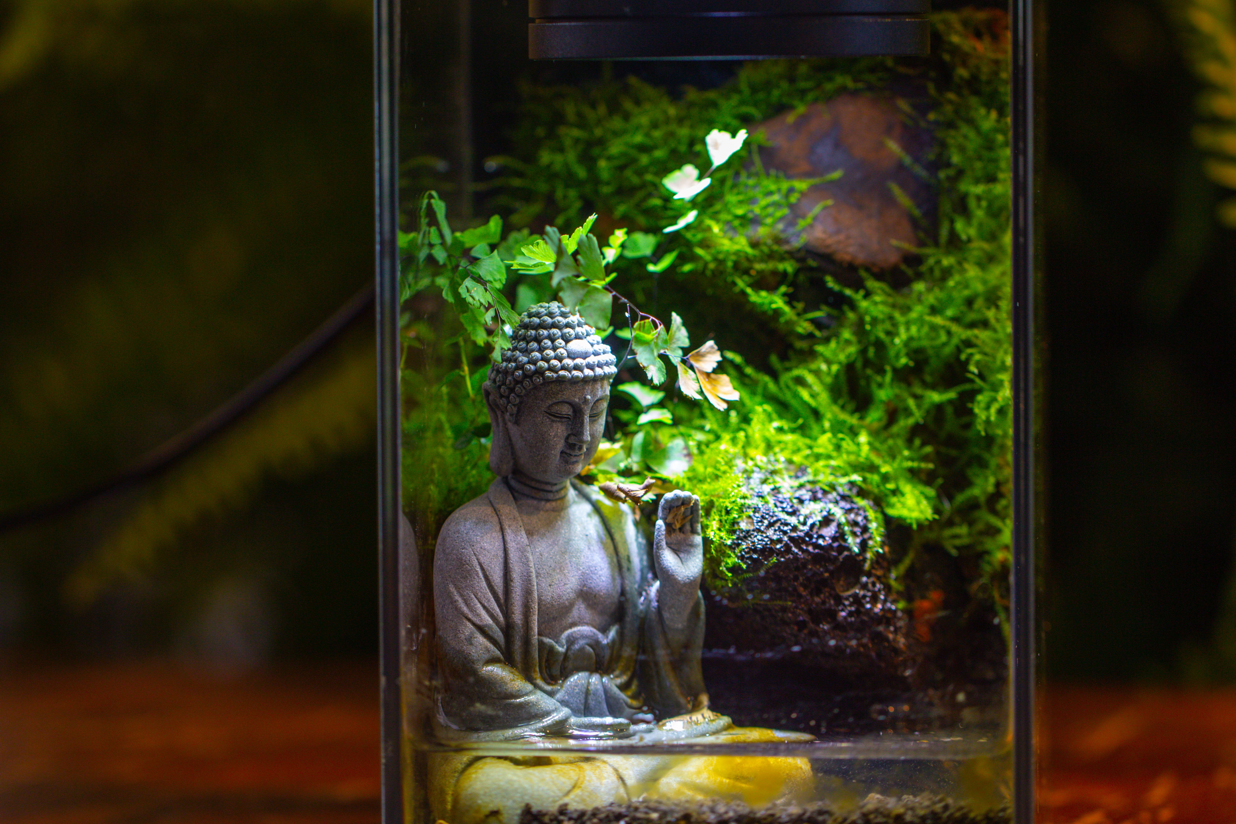 Watertight Glass Terrarium with LED Grow Light, Acrylic Lid for Moss Wall, vertical planting-12x12x18cm / 4.7x4.7x7.1'' - NCYPgarden