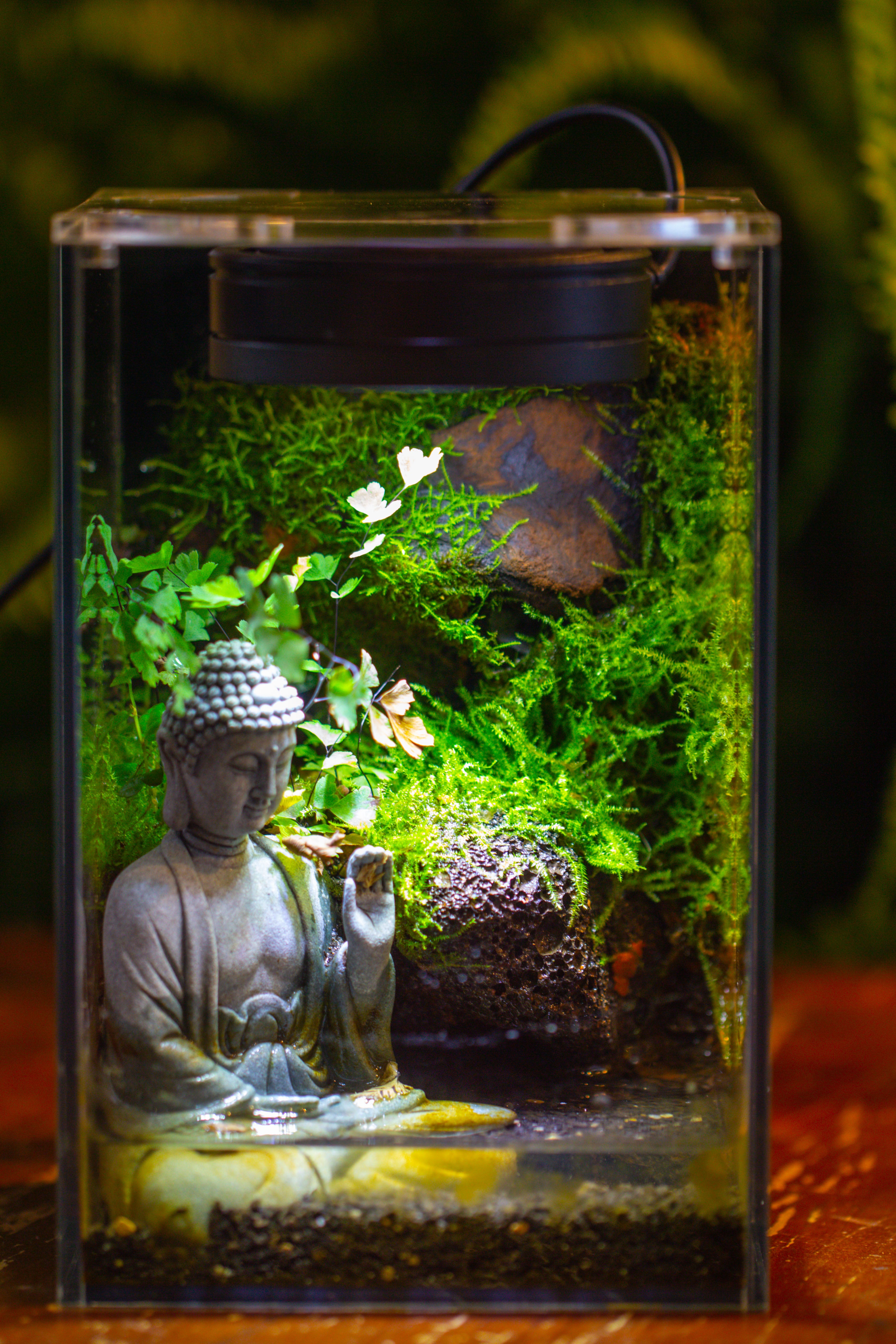 Watertight Glass Terrarium with LED Grow Light, Acrylic Lid for Moss Wall, vertical planting-12x12x18cm / 4.7x4.7x7.1'' - NCYPgarden