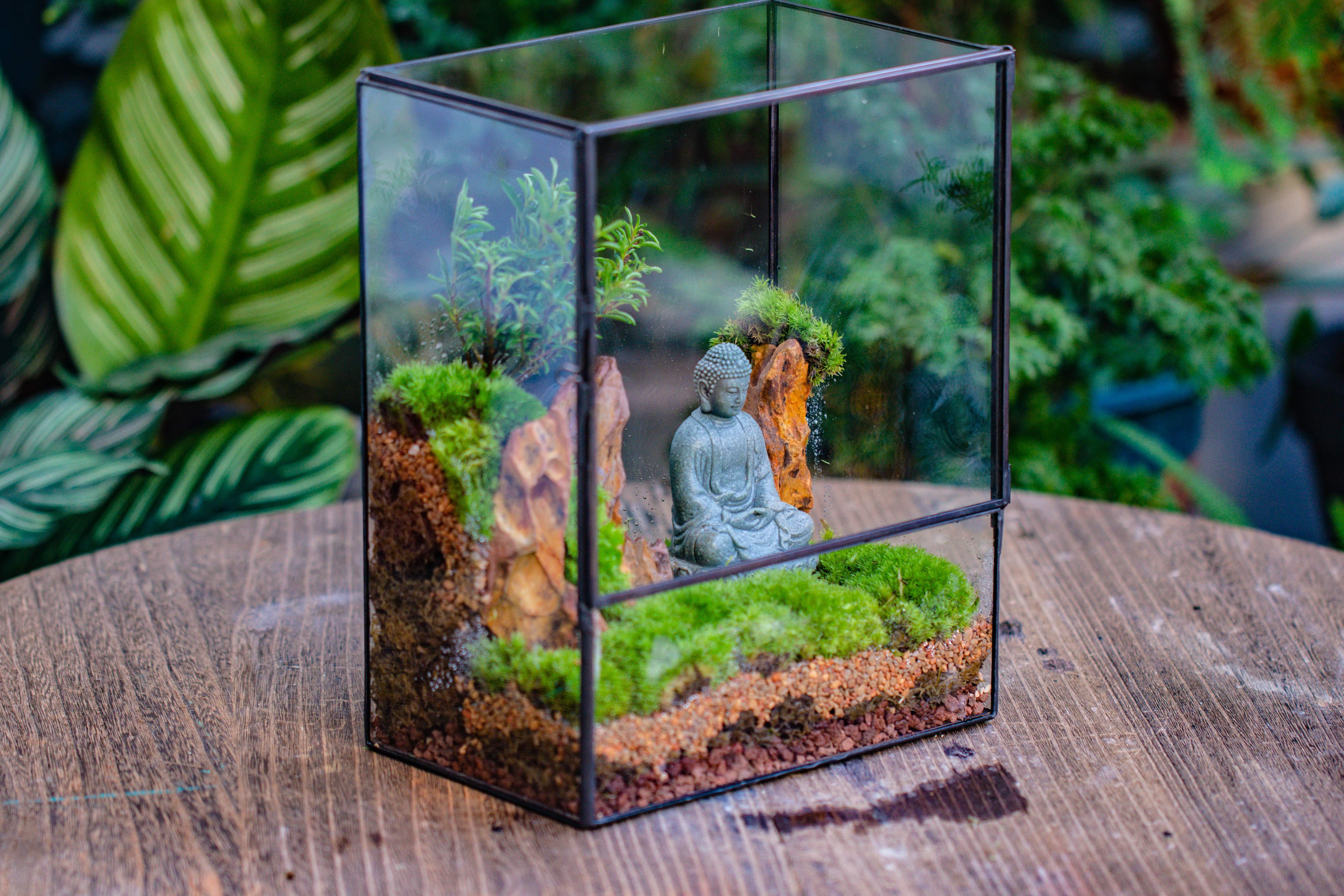 Close Geometric Glass Tin Terrarium , 8x10" and Buddha, rock, Micro Landscape Moss Terrarium Building DIY set No plants, Customizable - NCYPgarden