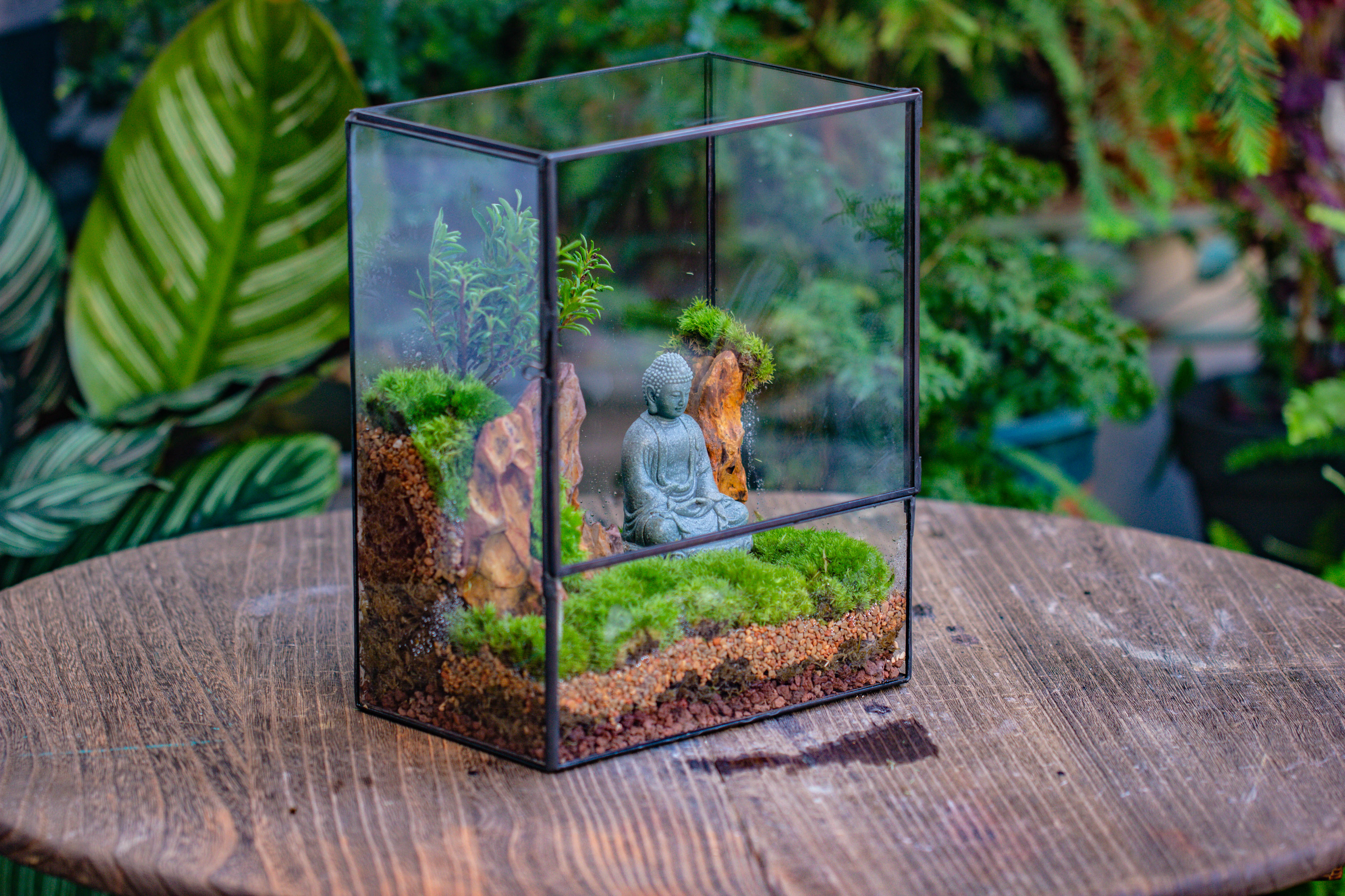 Close Geometric Glass Tin Terrarium , 8x10" and Buddha, rock, Micro Landscape Moss Terrarium Building DIY set No plants, Customizable - NCYPgarden