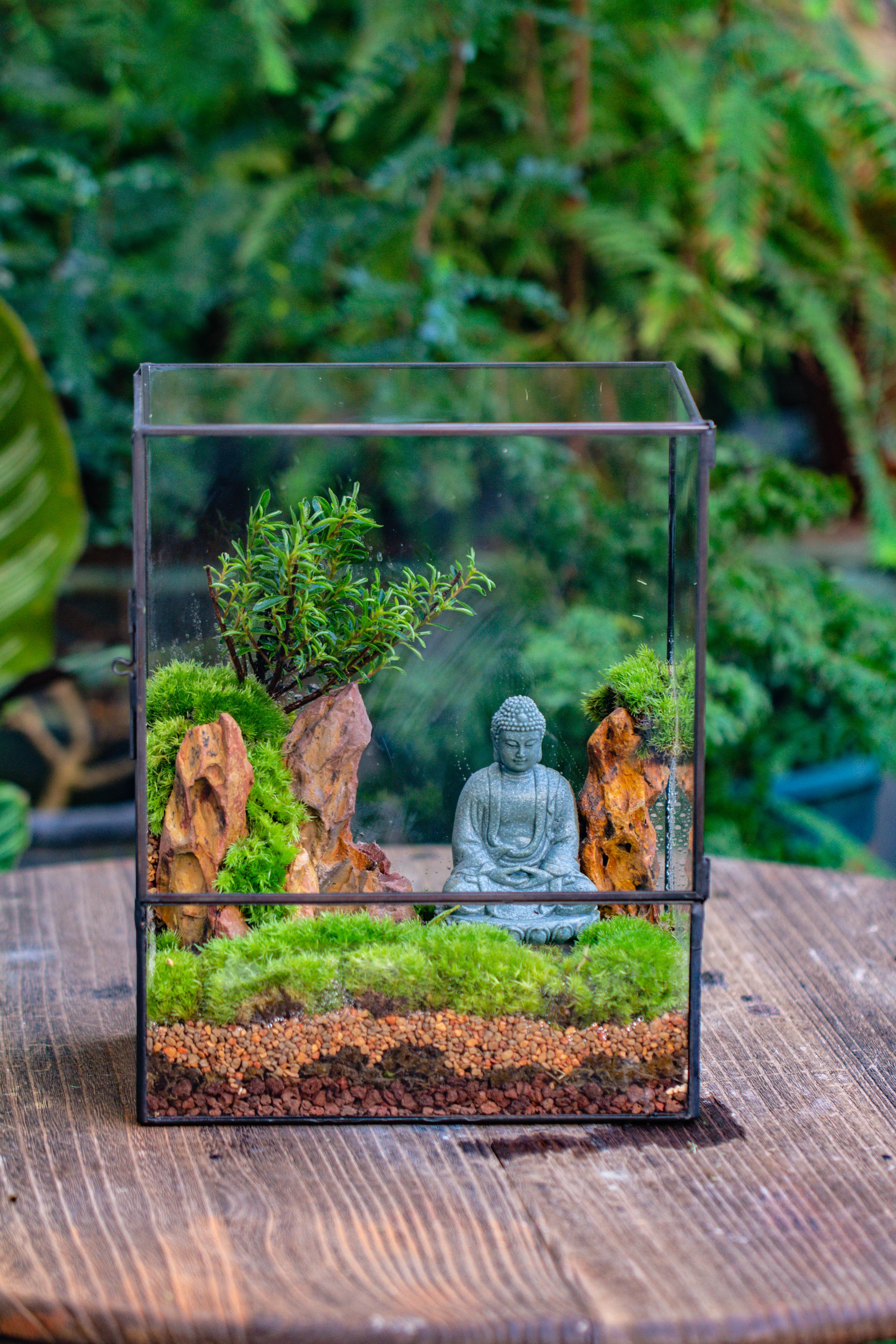 2-6" / 5-15cm cutted Flat bottom Natural Ohko Dragon Stone Rock for Terrarium, Aquarium Bonsai Landscape, 2kg/4.4lb, with DIY tools - NCYPgarden