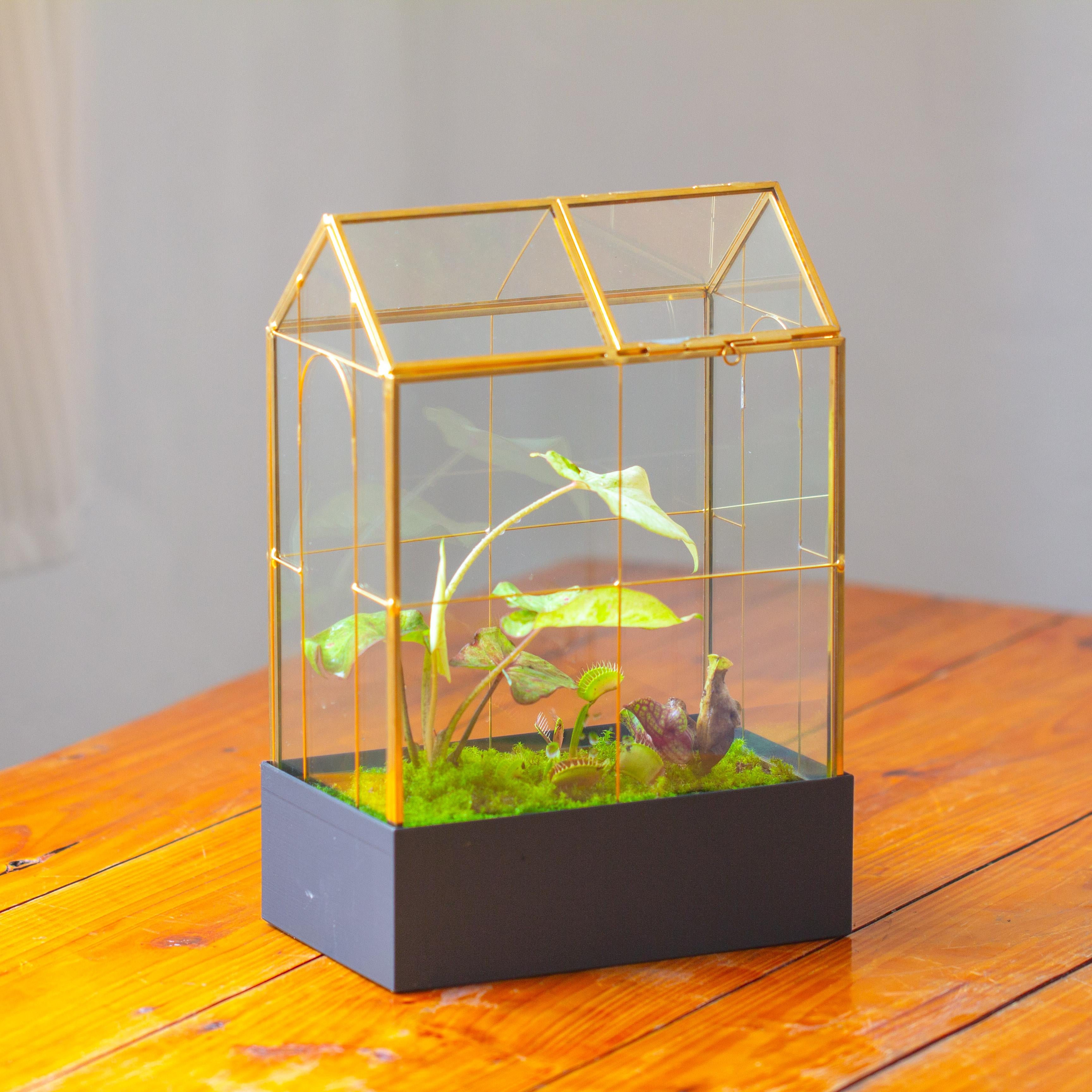 11" Gold Tall Vintage Greenhouse Glass Terrarium with Water-Holding Base and Top Door - NCYPgarden