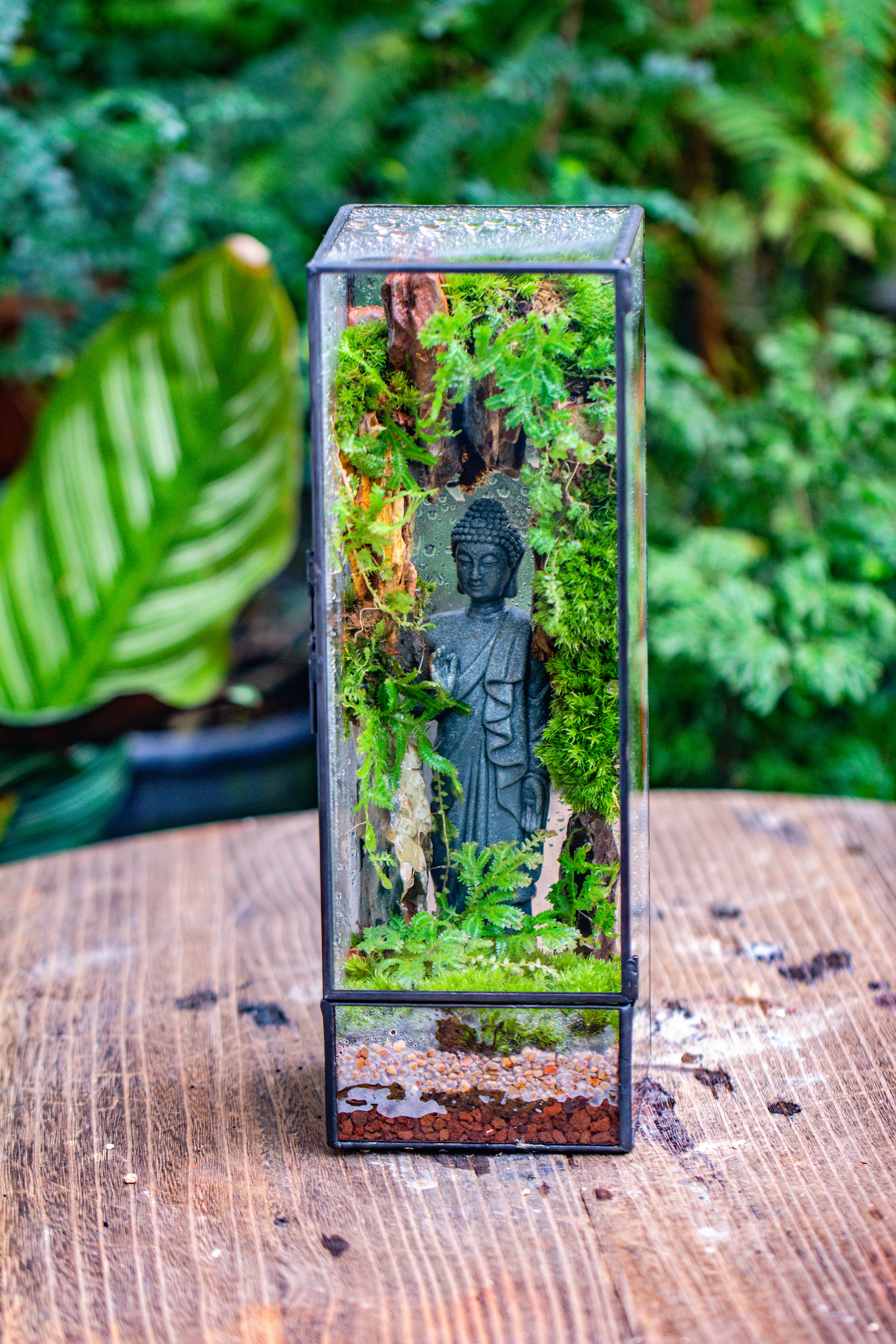NCYP Close 11.8" Tall Geometric Glass Terrarium with Door DIY set, with Buddha, Dragon rocks, Planting Materials - NCYPgarden