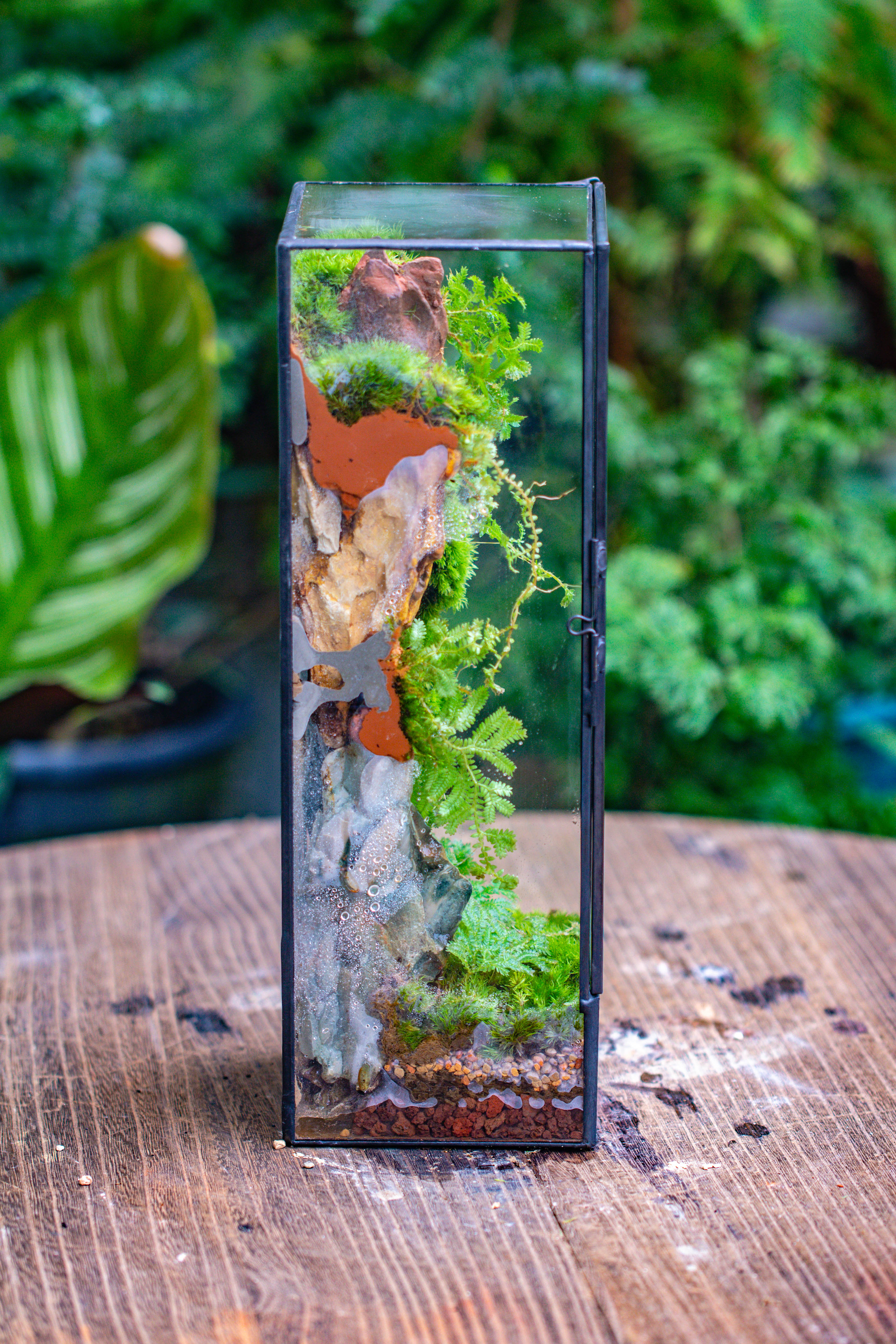 NCYP Close 11.8" Tall Geometric Glass Terrarium with Door DIY set, with Buddha, Dragon rocks, Planting Materials - NCYPgarden